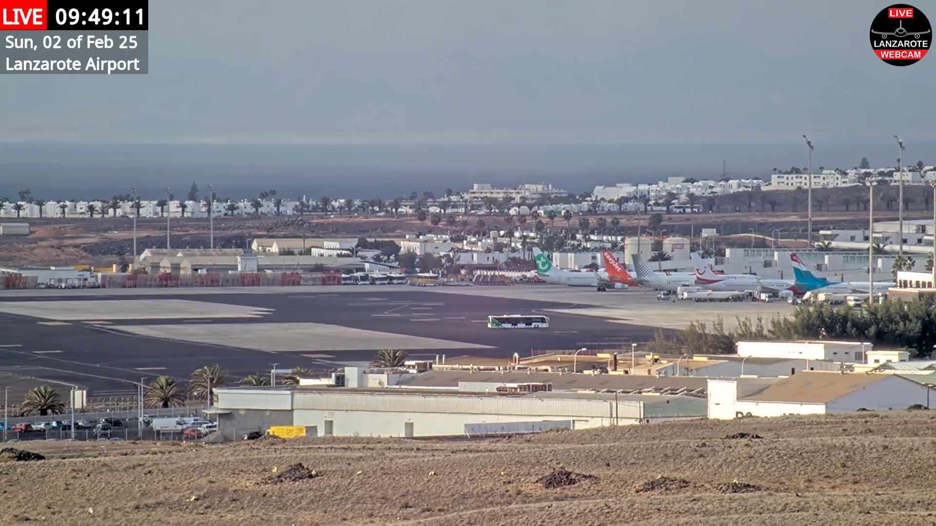 An airport tarmac with several airplanes parked, adjacent buildings, and a view of the ocean under an overcast sky.