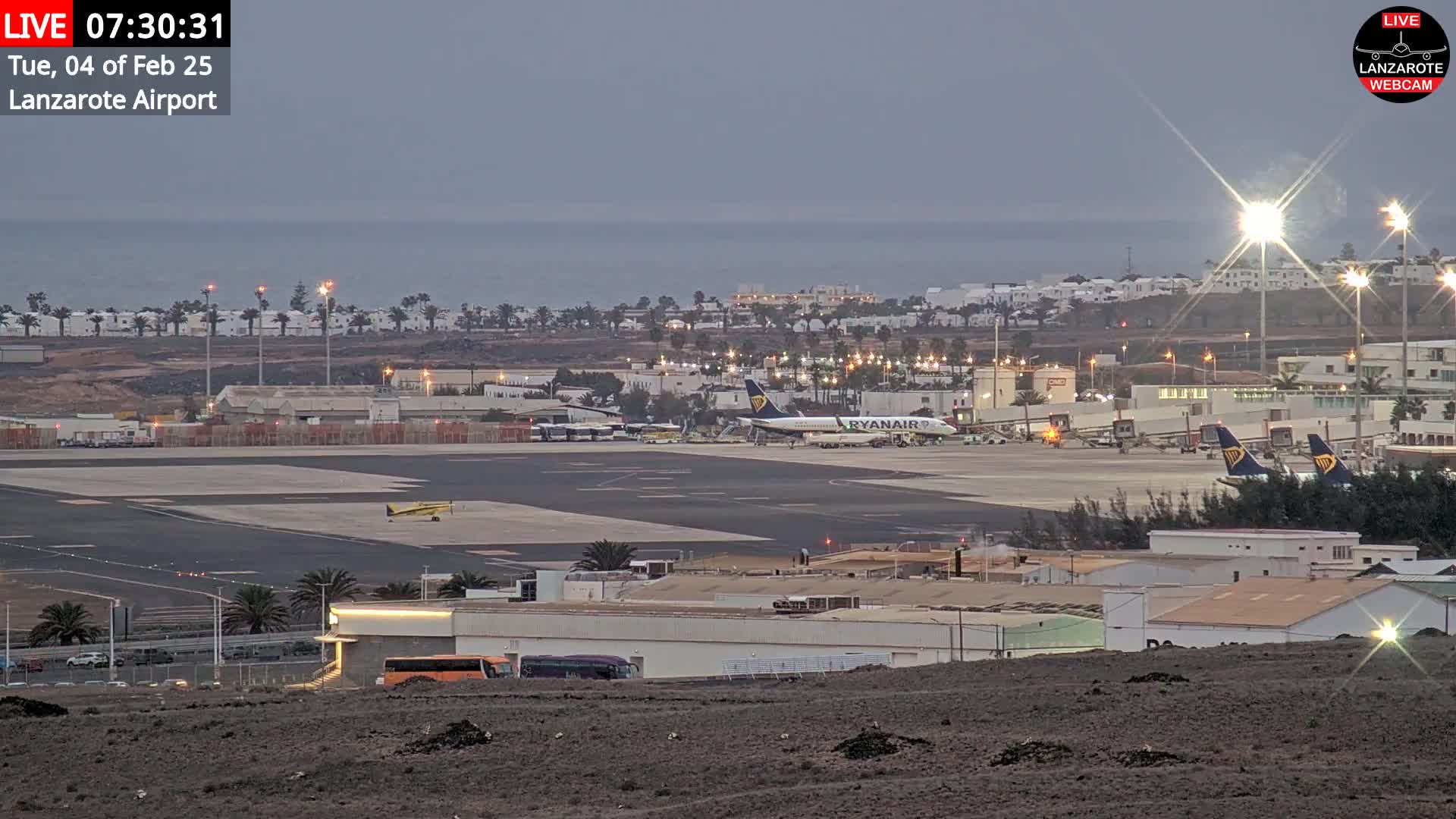 An airport tarmac at dawn with several airplanes, airport buildings, and palm trees visible under a mostly clear sky.