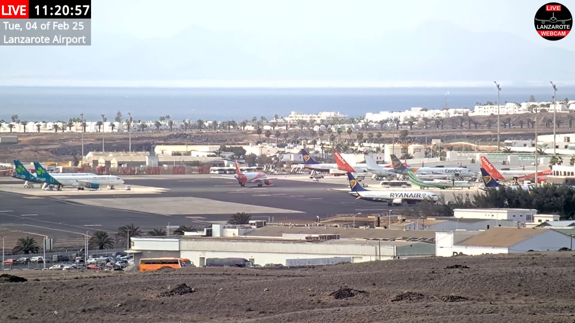 A Lanzarote airport tarmac with numerous airplanes, some taxiing, others parked, overlooks a calm ocean under a clear sky.