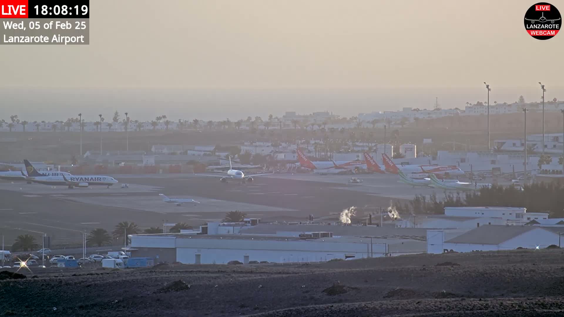 Several airplanes are parked on an airport tarmac under hazy sunset conditions.