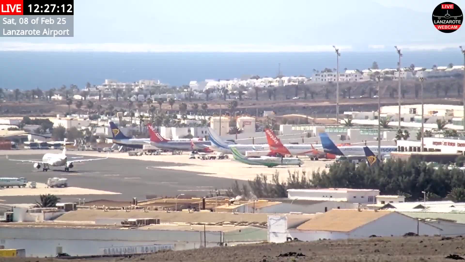 Several airplanes are parked on an airport tarmac near a calm ocean under a clear sky.