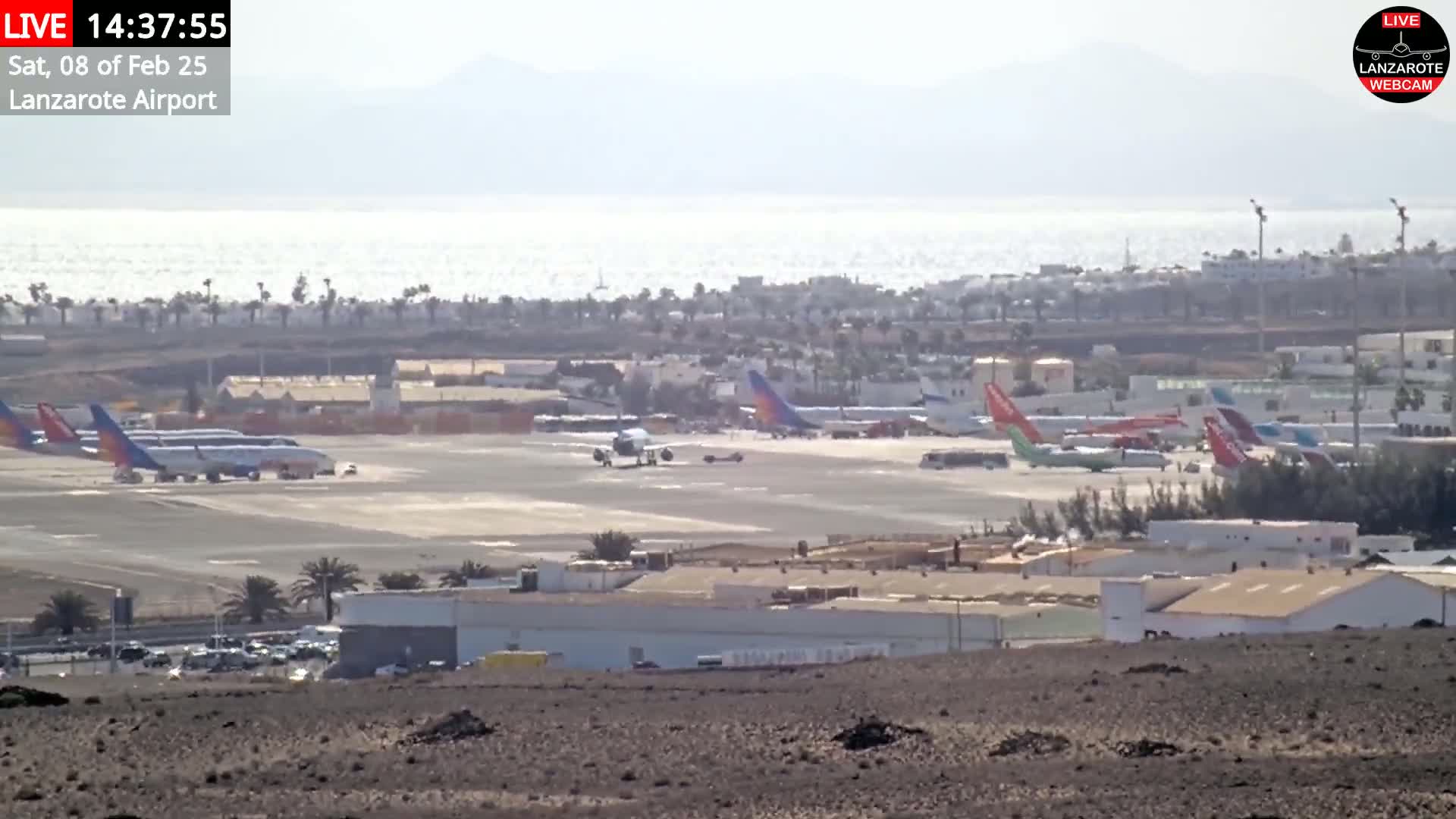 A sunny day at an airport shows several airplanes on the tarmac, with a body of water visible in the distance.