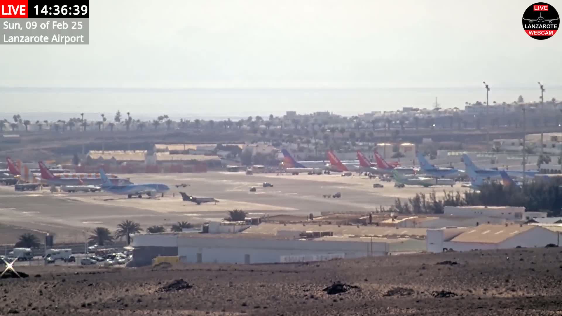 A hazy view of an airport tarmac with numerous airplanes parked, surrounded by buildings and a coastline visible in the distance.