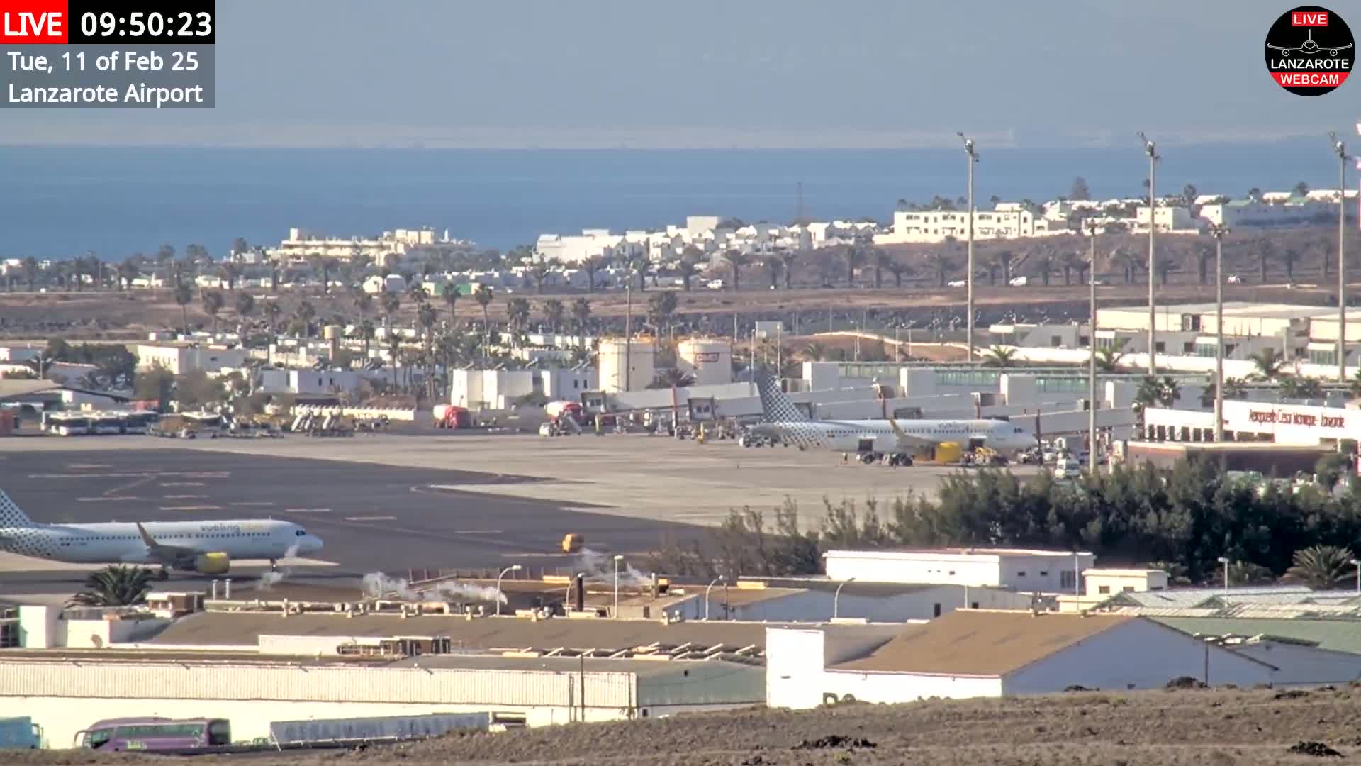 A sunny day at an airport shows several airplanes on the tarmac near terminal buildings and a body of water in the distance.