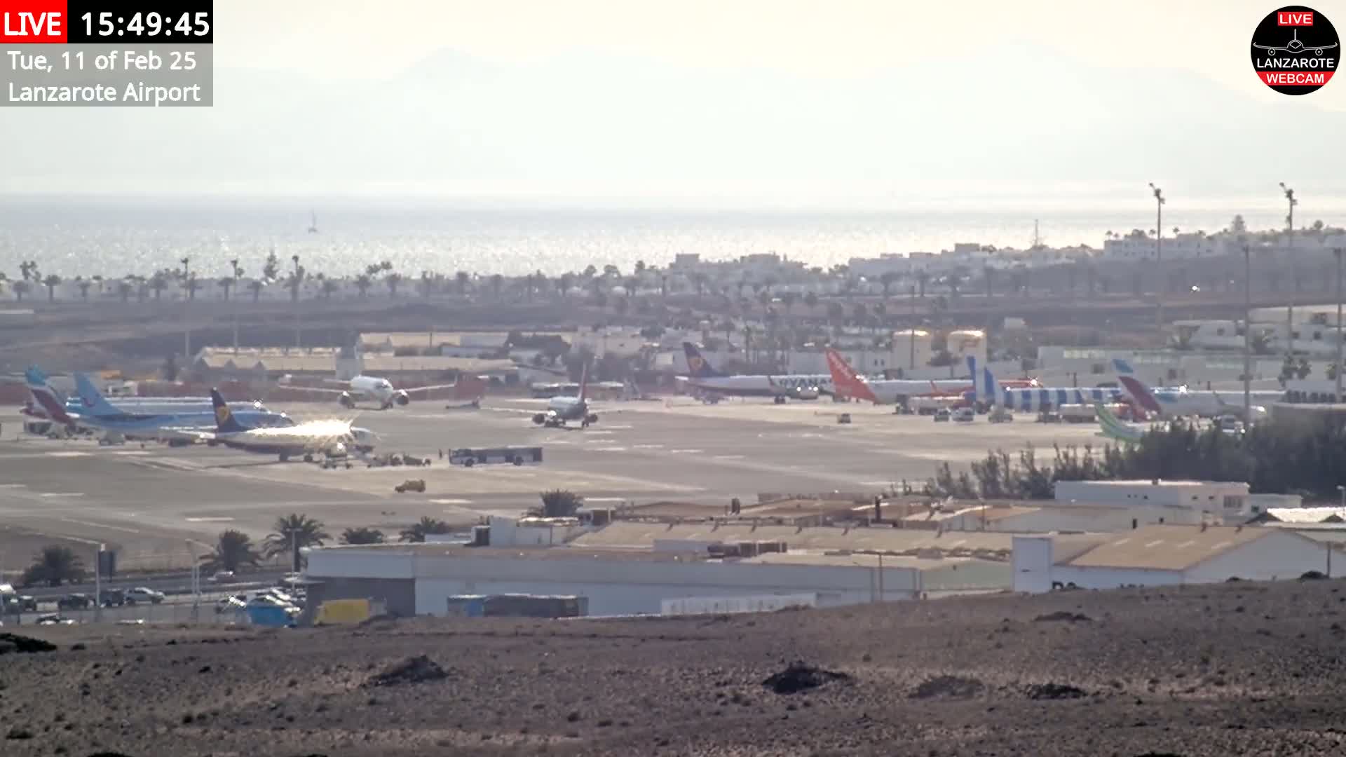 A hazy sunny day reveals several airplanes parked on an airport tarmac near a calm ocean.