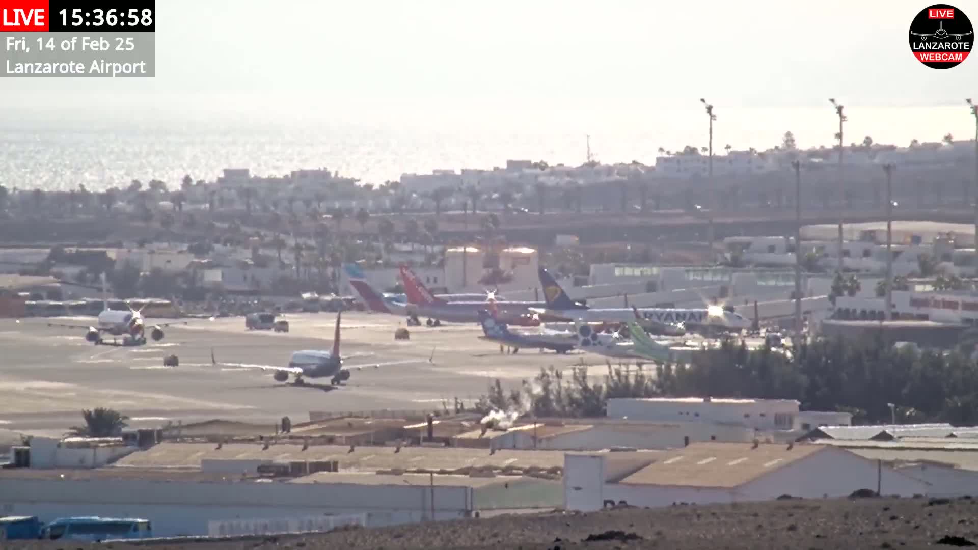 Several airplanes are parked on a tarmac at an airport near a hazy ocean under a bright, sunny sky.
