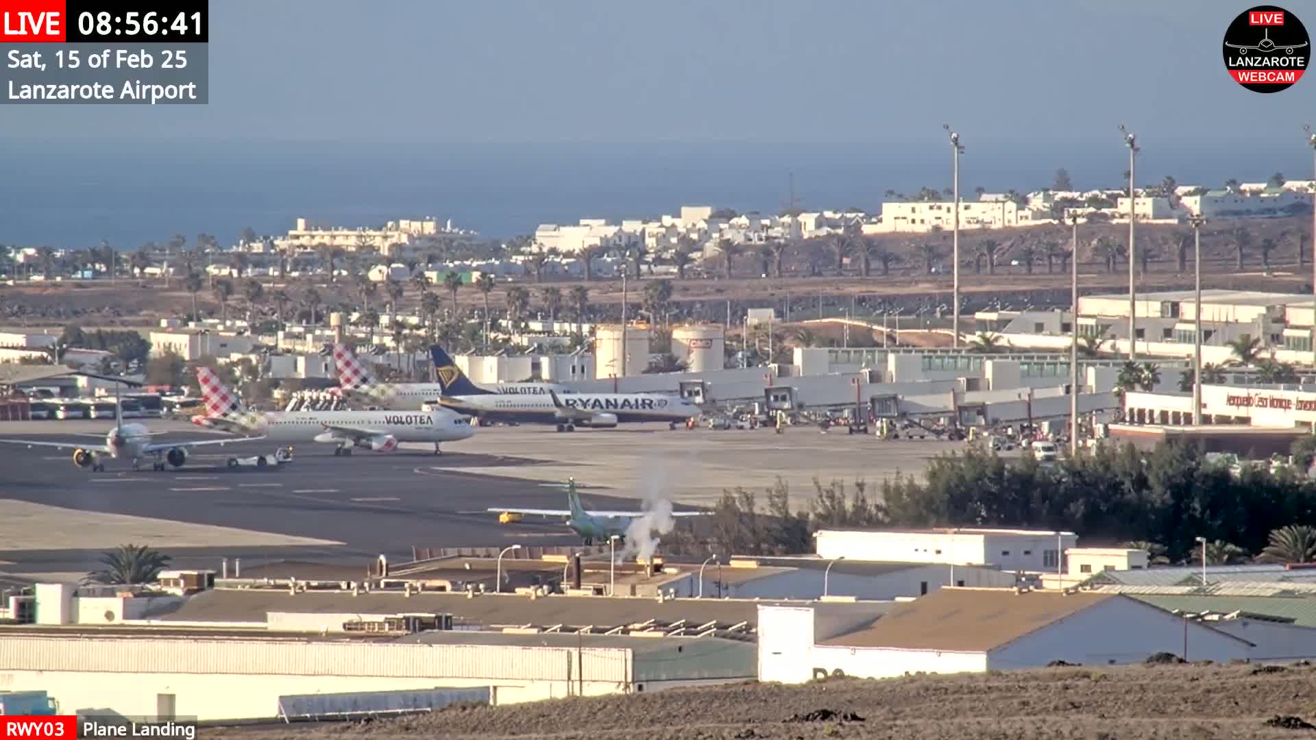 Several airplanes are parked on a tarmac at an airport by a calm ocean under a clear sky.