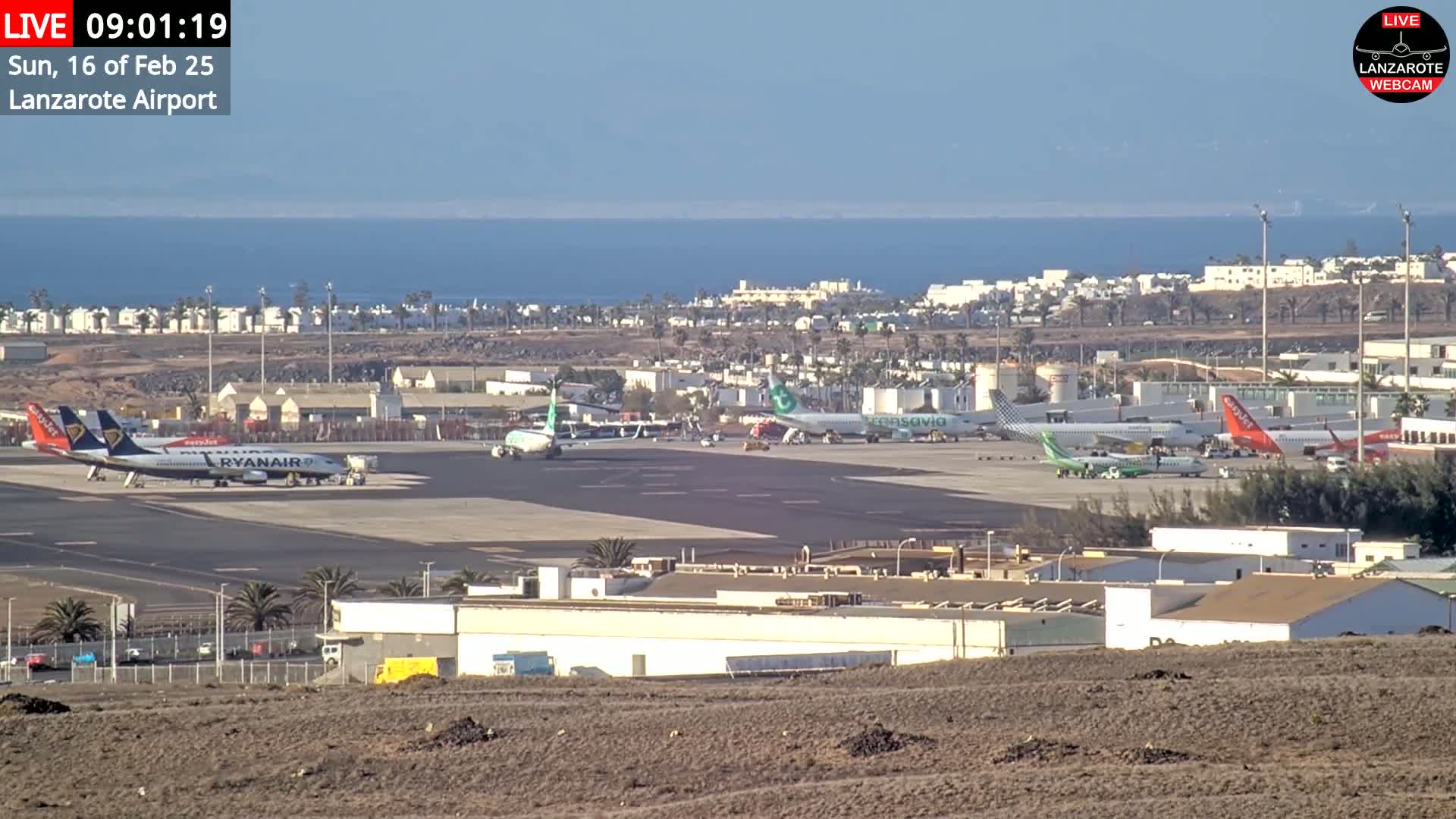 Several airplanes are parked on a tarmac at an airport overlooking a calm ocean under a clear sky.