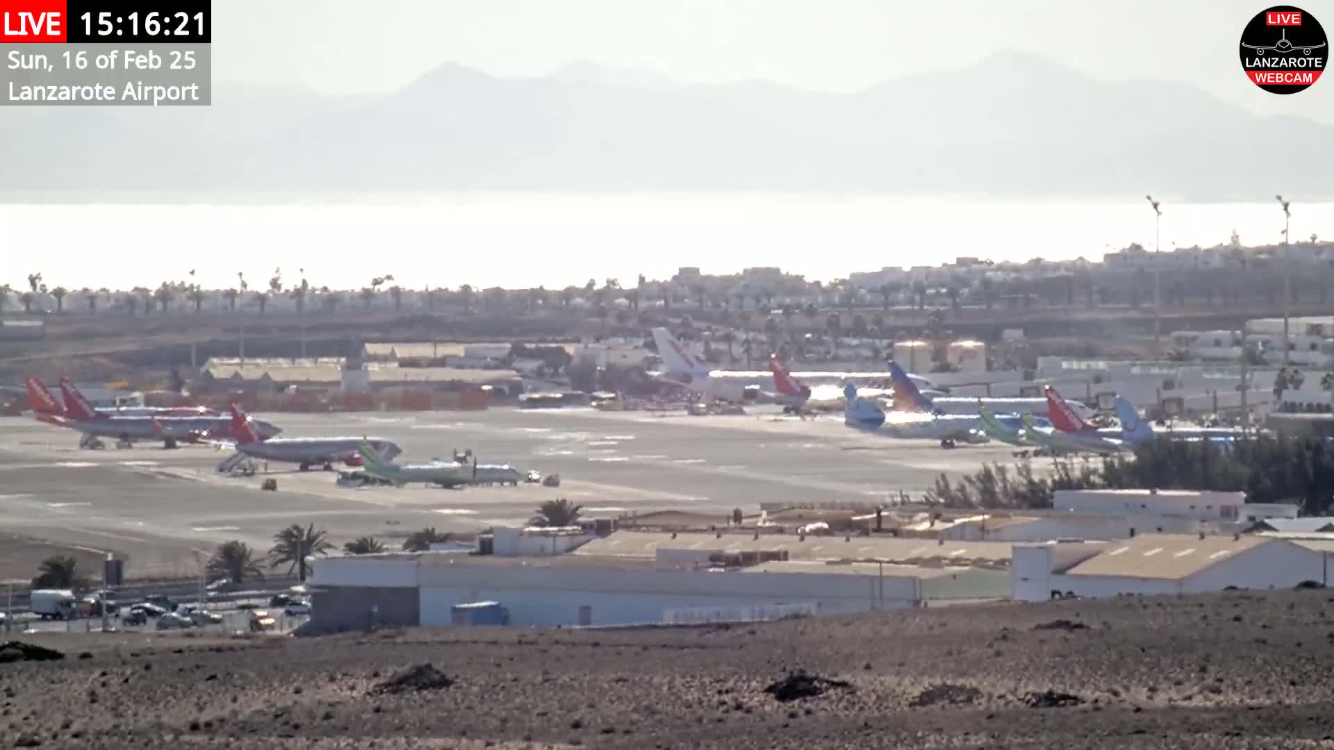 A hazy, sunny day at an airport shows numerous airplanes parked on the tarmac, with buildings and palm trees visible in the foreground and a body of water and distant mountains in the background.