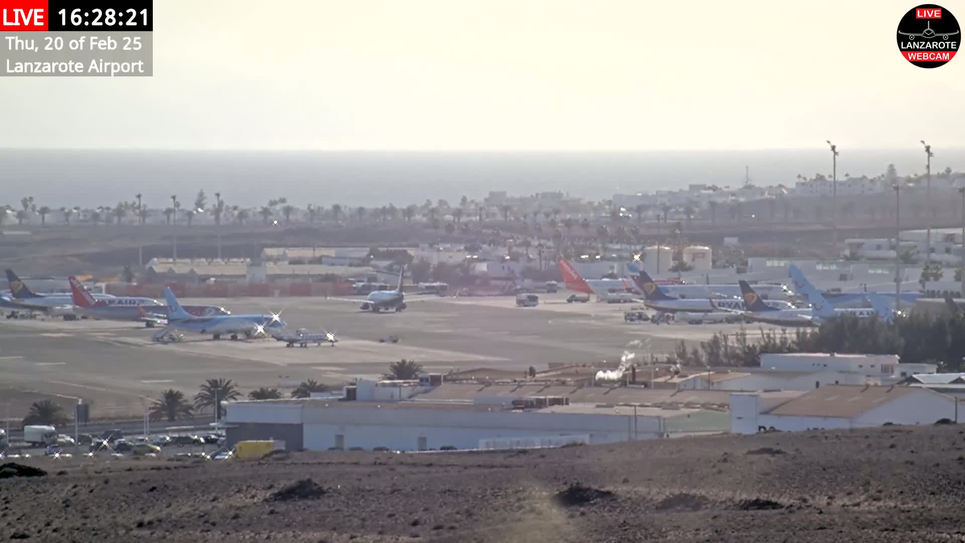 A hazy, sunny day at an airport shows numerous airplanes parked on the tarmac near buildings and palm trees, with a body of water visible in the distance.