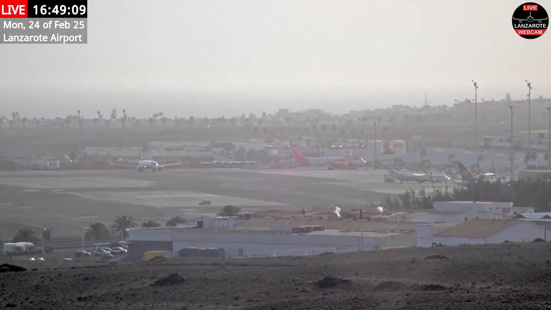 A hazy view shows several airplanes on an airport tarmac, with buildings and palm trees visible in the background.