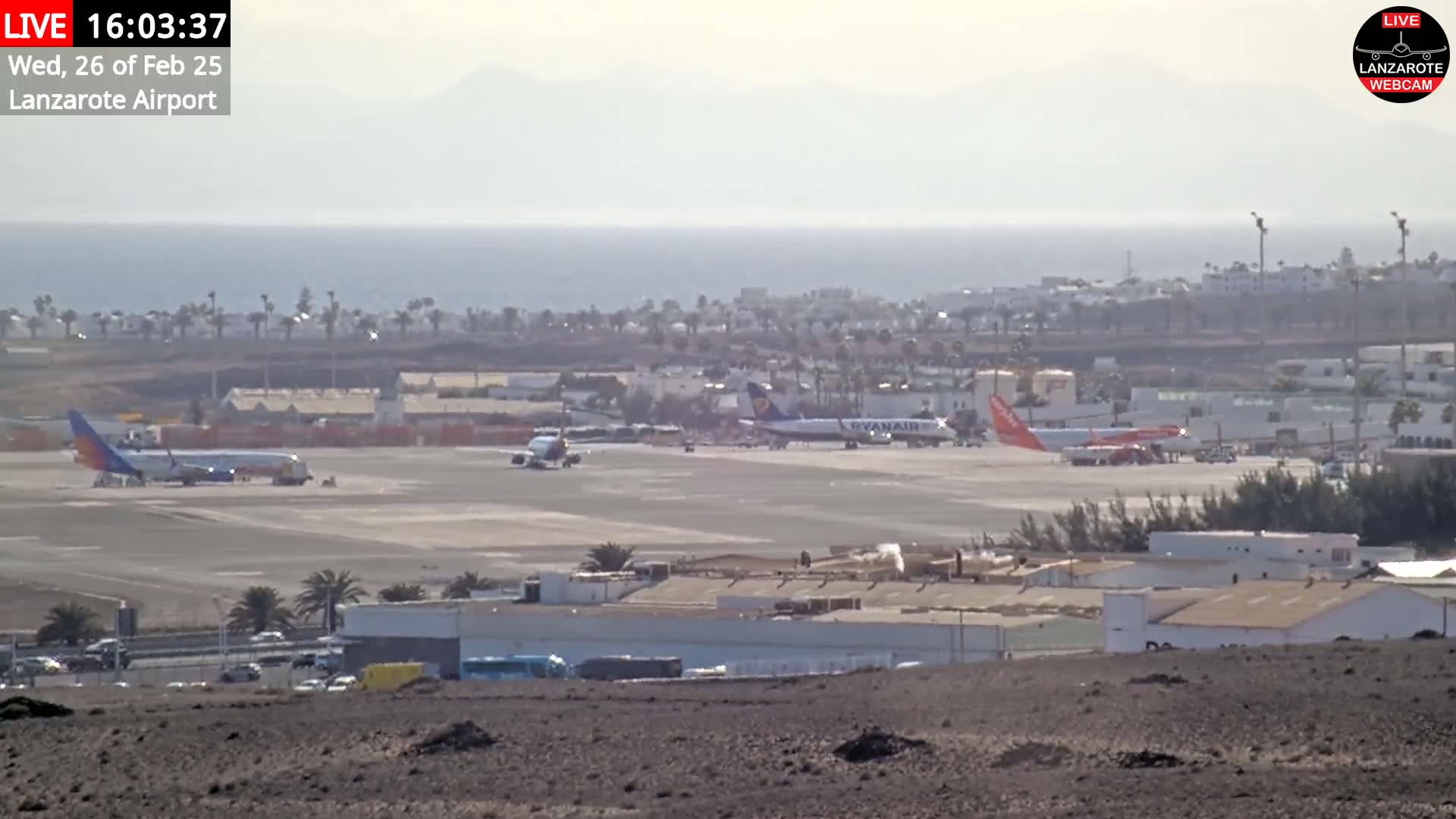 Several airplanes are parked on an airport tarmac near a coastline on a hazy day.