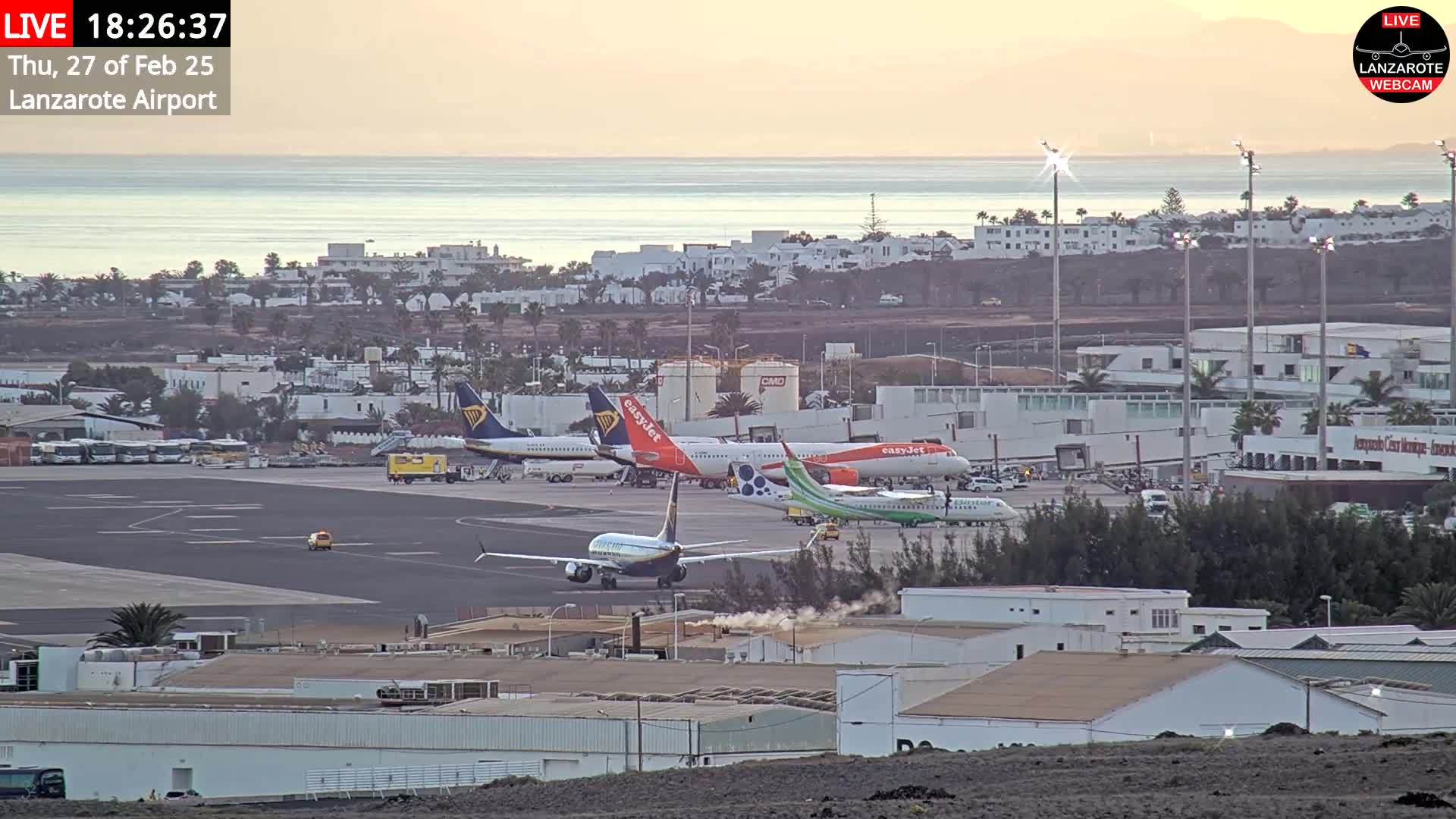 Several airplanes are parked and taxiing on an airport tarmac near a calm ocean at sunset.