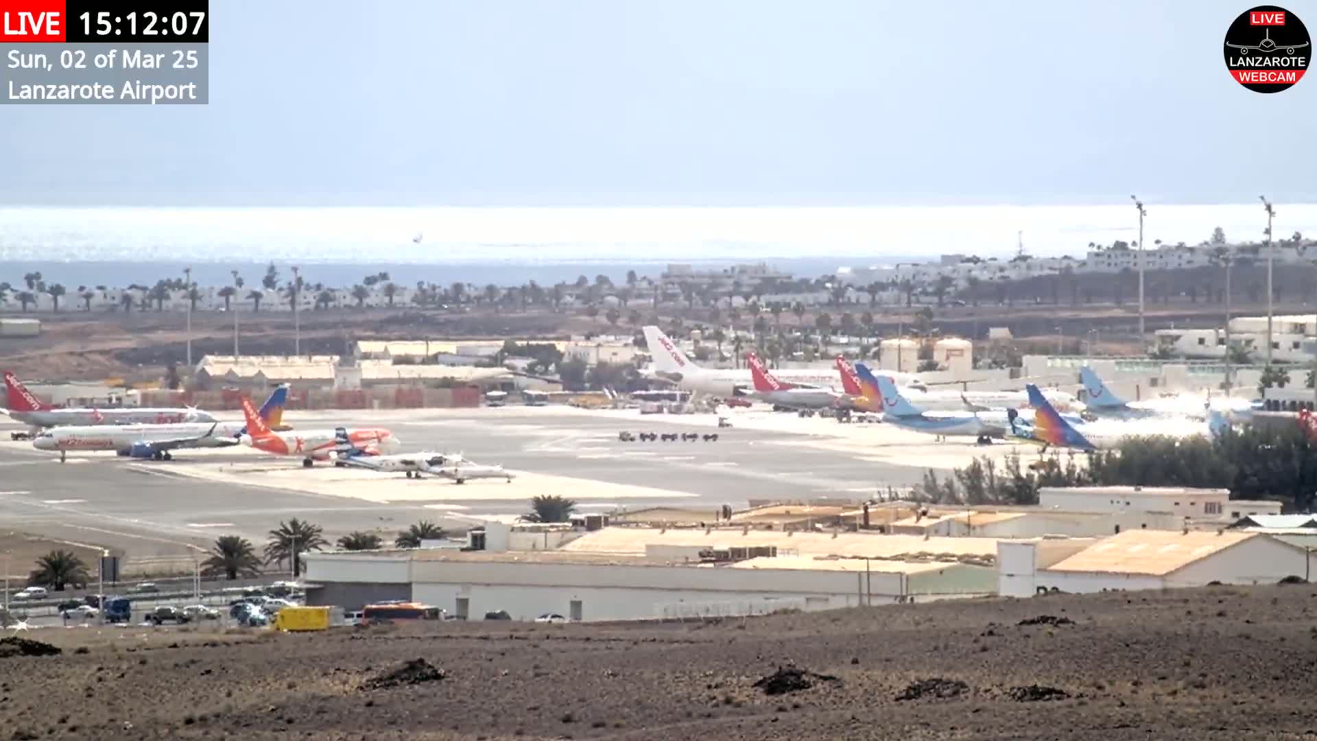 Numerous airplanes are parked on an airport tarmac near a calm ocean under a bright, sunny sky.
