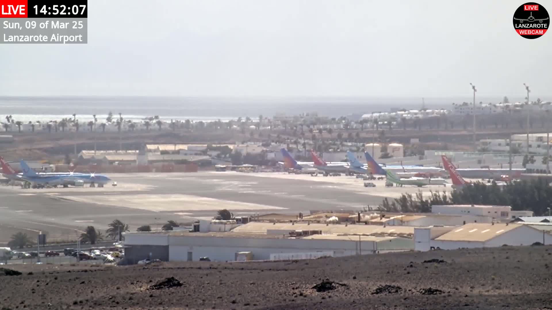 A hazy view of an airport tarmac with several airplanes parked, and a distant ocean visible under a hazy sky.