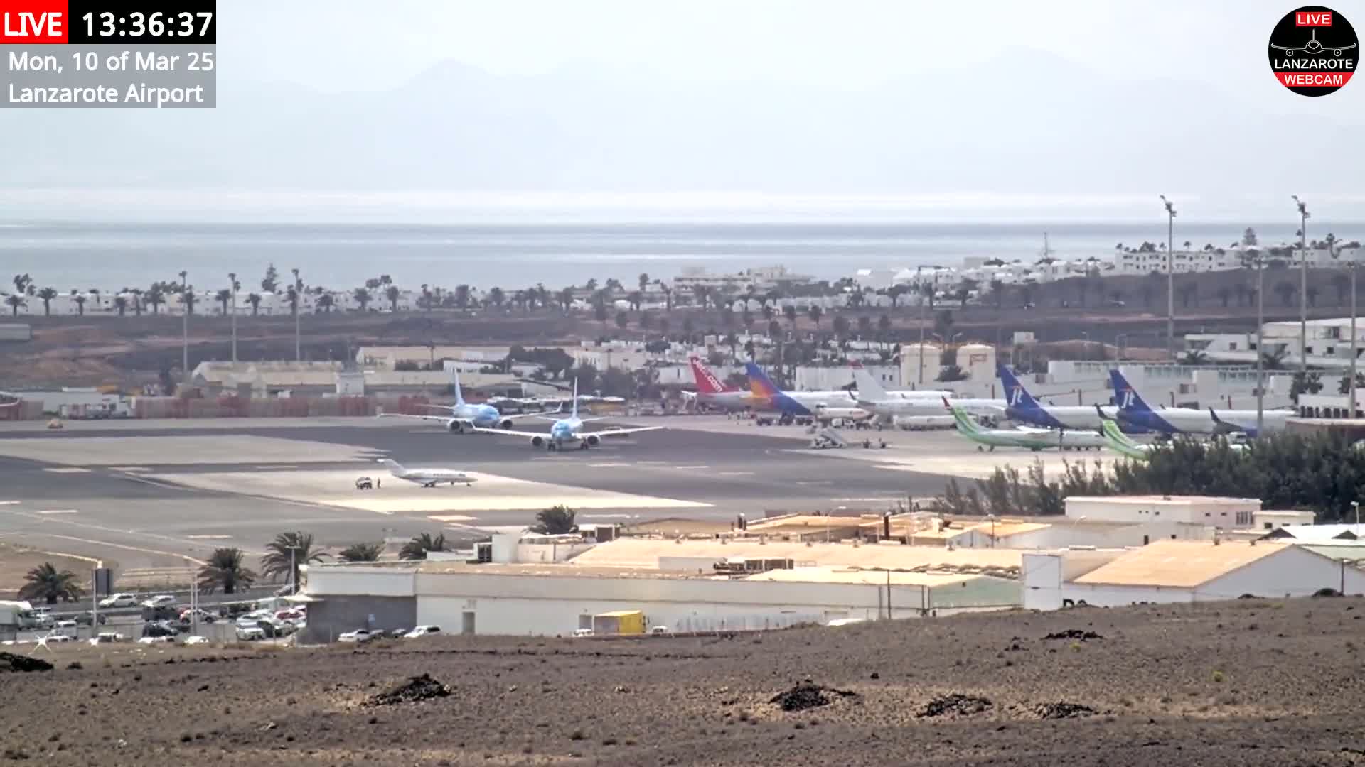 A long shot of an airport tarmac with several airplanes parked, under a hazy sky, overlooking a calm ocean.