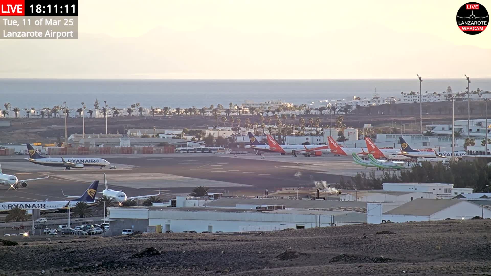 Several airplanes are parked on an airport tarmac near a calm ocean under a hazy sky.