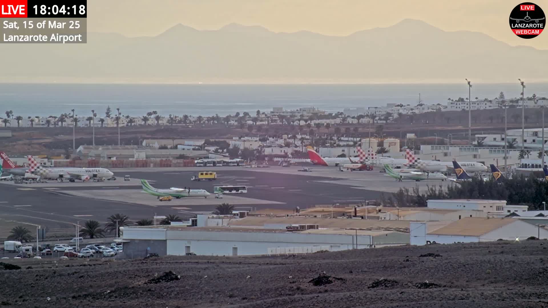 An airport tarmac with several airplanes parked, surrounded by buildings and palm trees, overlooks a calm ocean and distant mountains under a hazy, sunset sky.