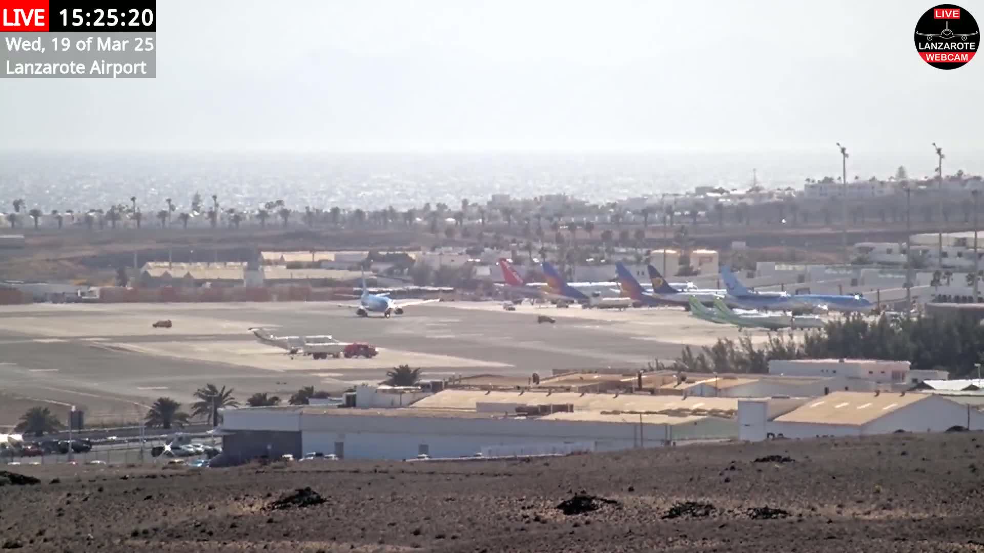 A hazy view of an airport tarmac with several airplanes parked and one taxiing, situated near a coastline on a sunny day.