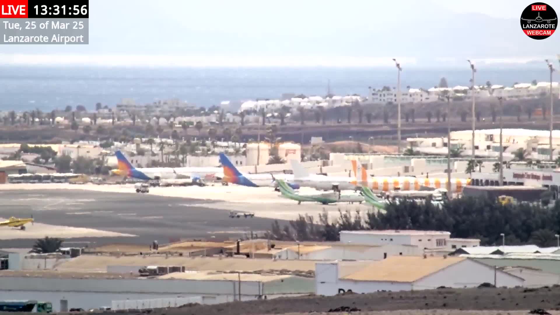 A long shot of an airport tarmac with several airplanes parked, viewed on a hazy day with a calm ocean visible in the background.