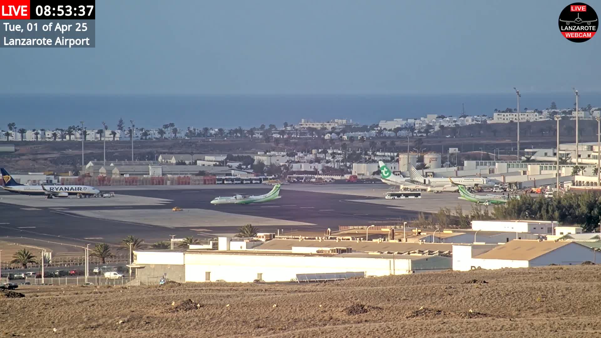 Several airplanes are parked on a tarmac at an airport near a calm ocean under a clear sky.
