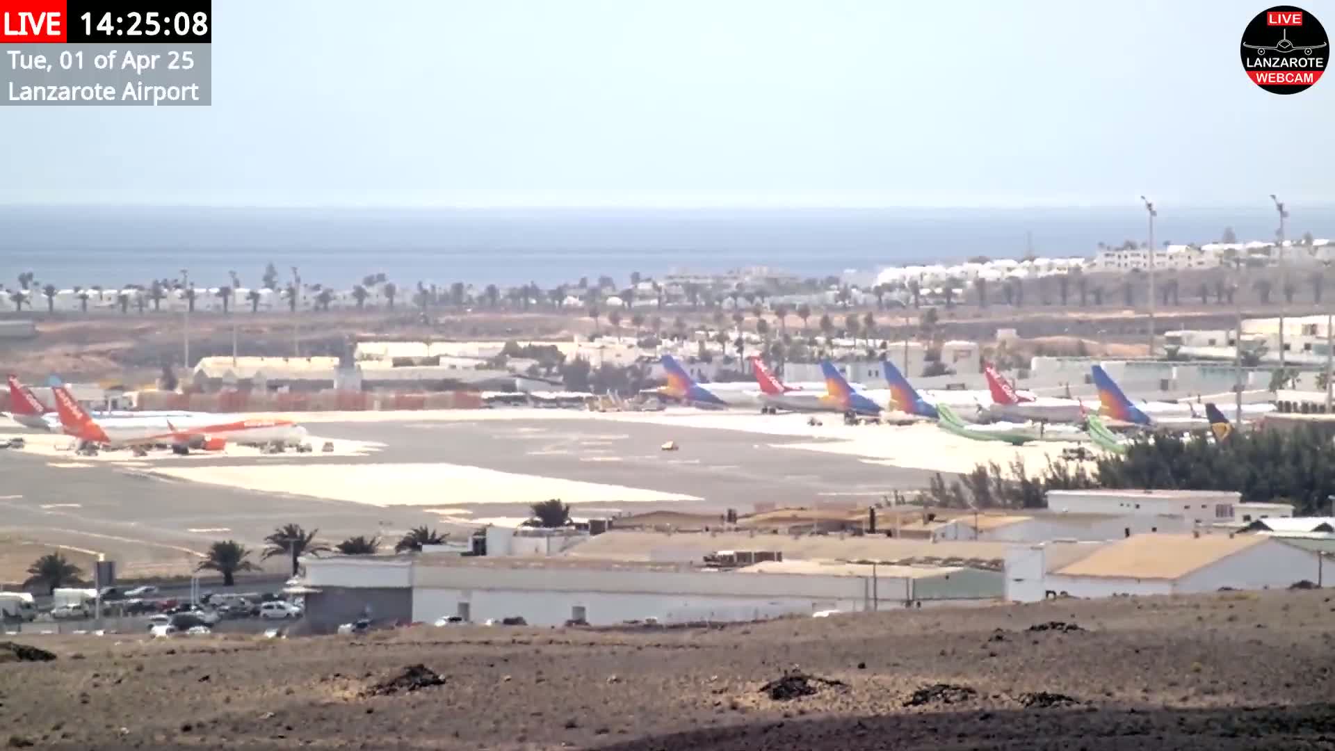 A sunny day at an airport shows numerous airplanes parked on the tarmac near a calm ocean.