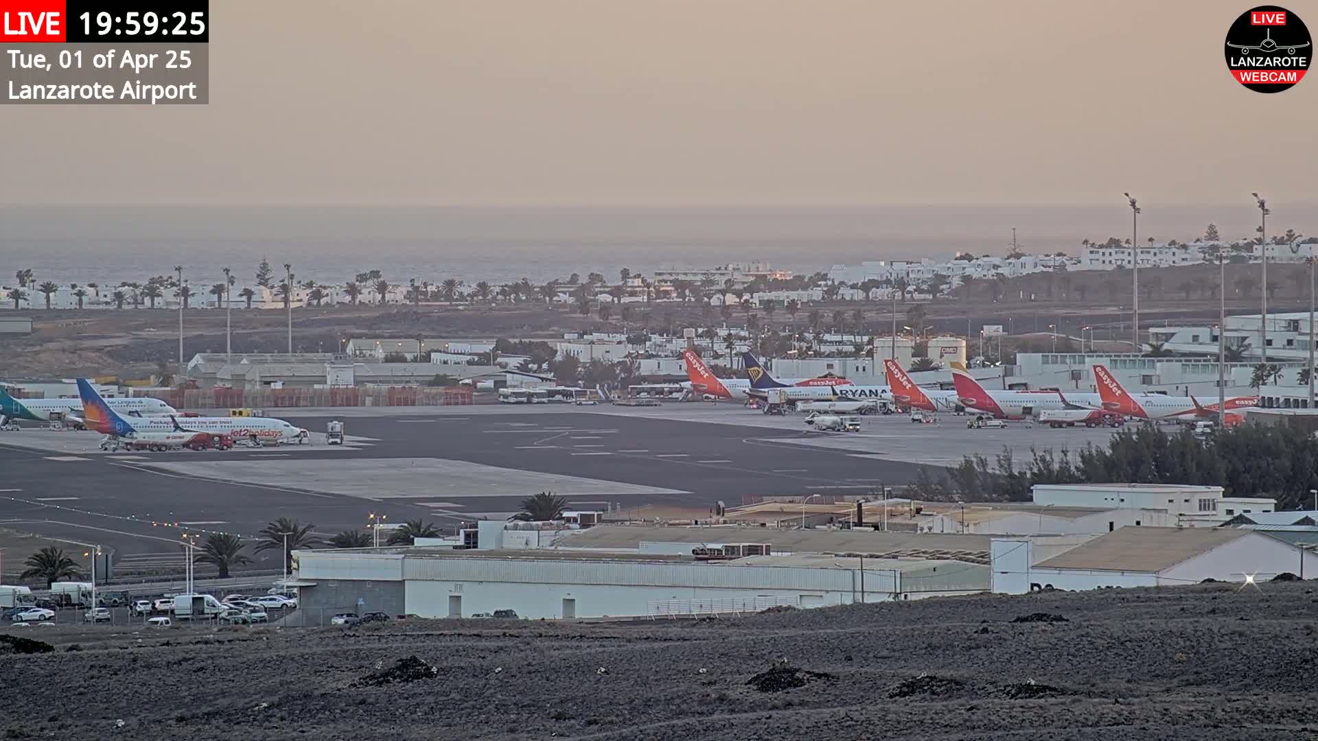 Several airplanes are parked at an airport tarmac near a calm ocean under a dusky sky.