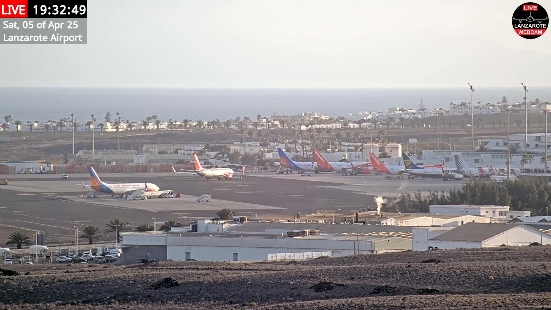 Several airplanes are parked on an airport tarmac next to a calm ocean under a clear sky.