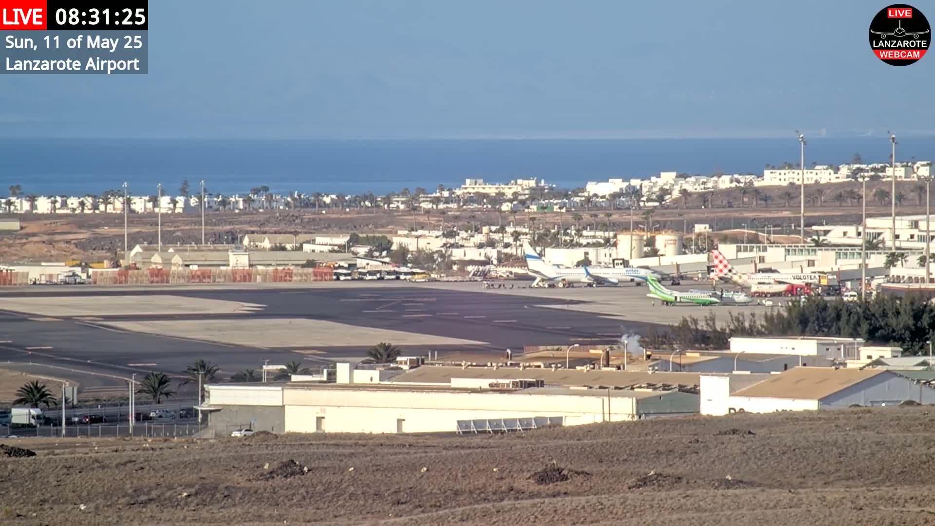 A sunny, distant view of an airport tarmac with several airplanes parked, surrounded by buildings and a calm ocean in the background.