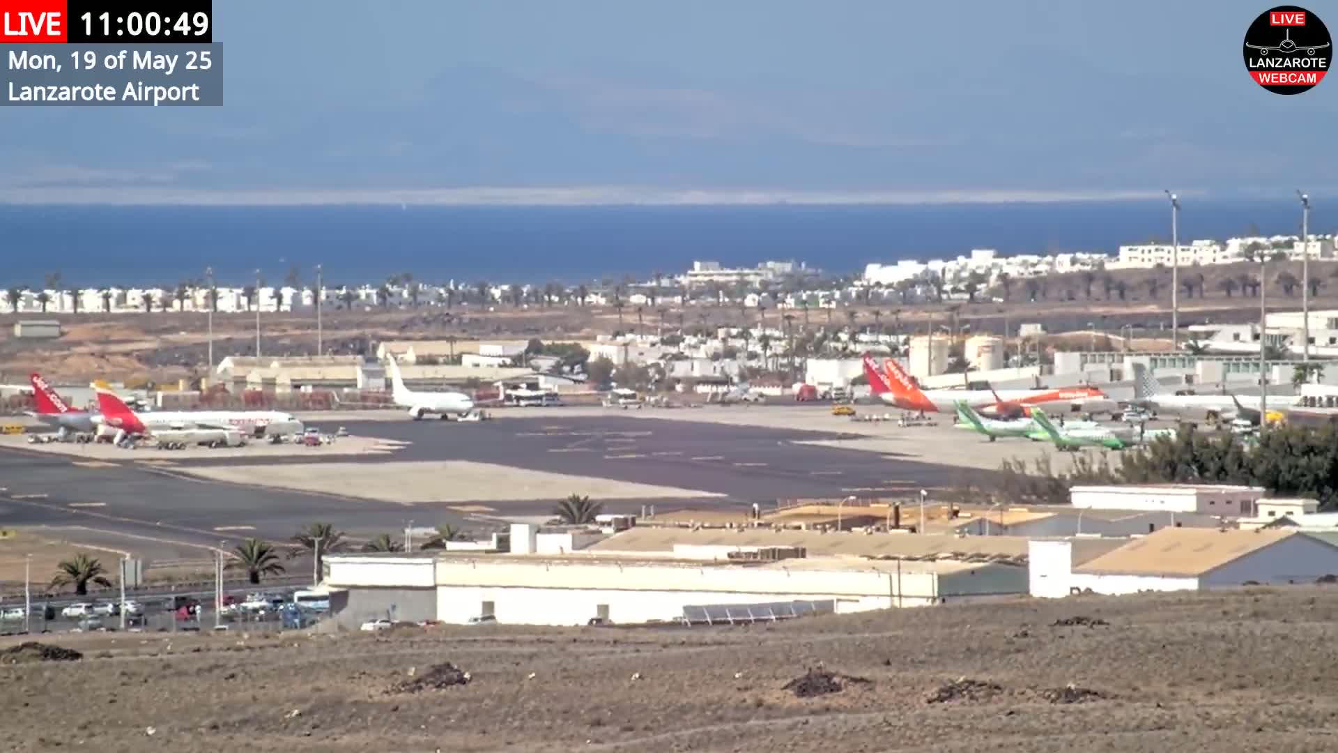 An airport tarmac with several airplanes parked, surrounded by buildings and a coastline visible in the background under a sunny sky.