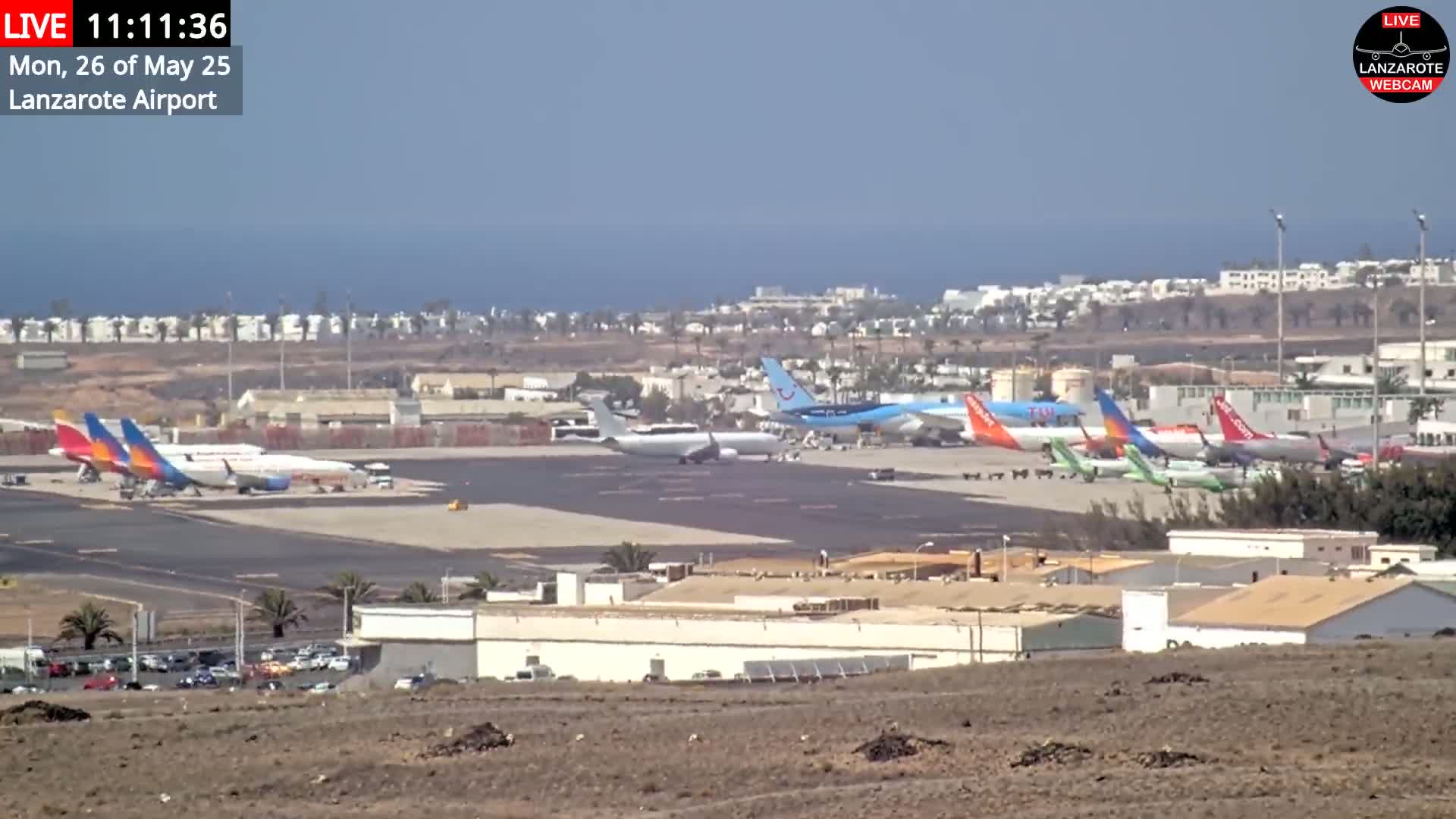 A sunny day at an airport shows many airplanes parked on the tarmac with a body of water and buildings in the distance.