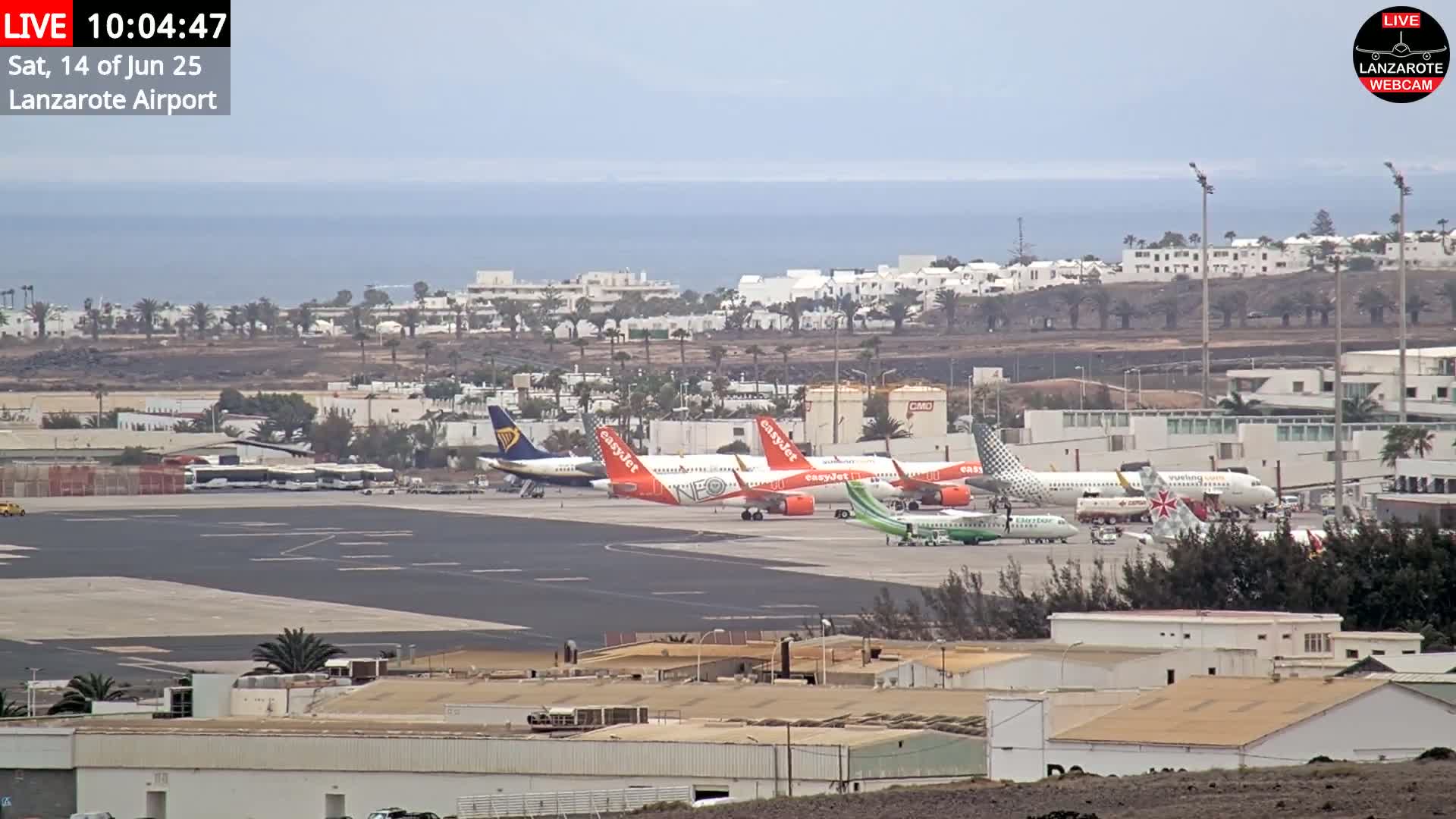 Several airplanes are parked on an airport tarmac near an ocean under an overcast sky.