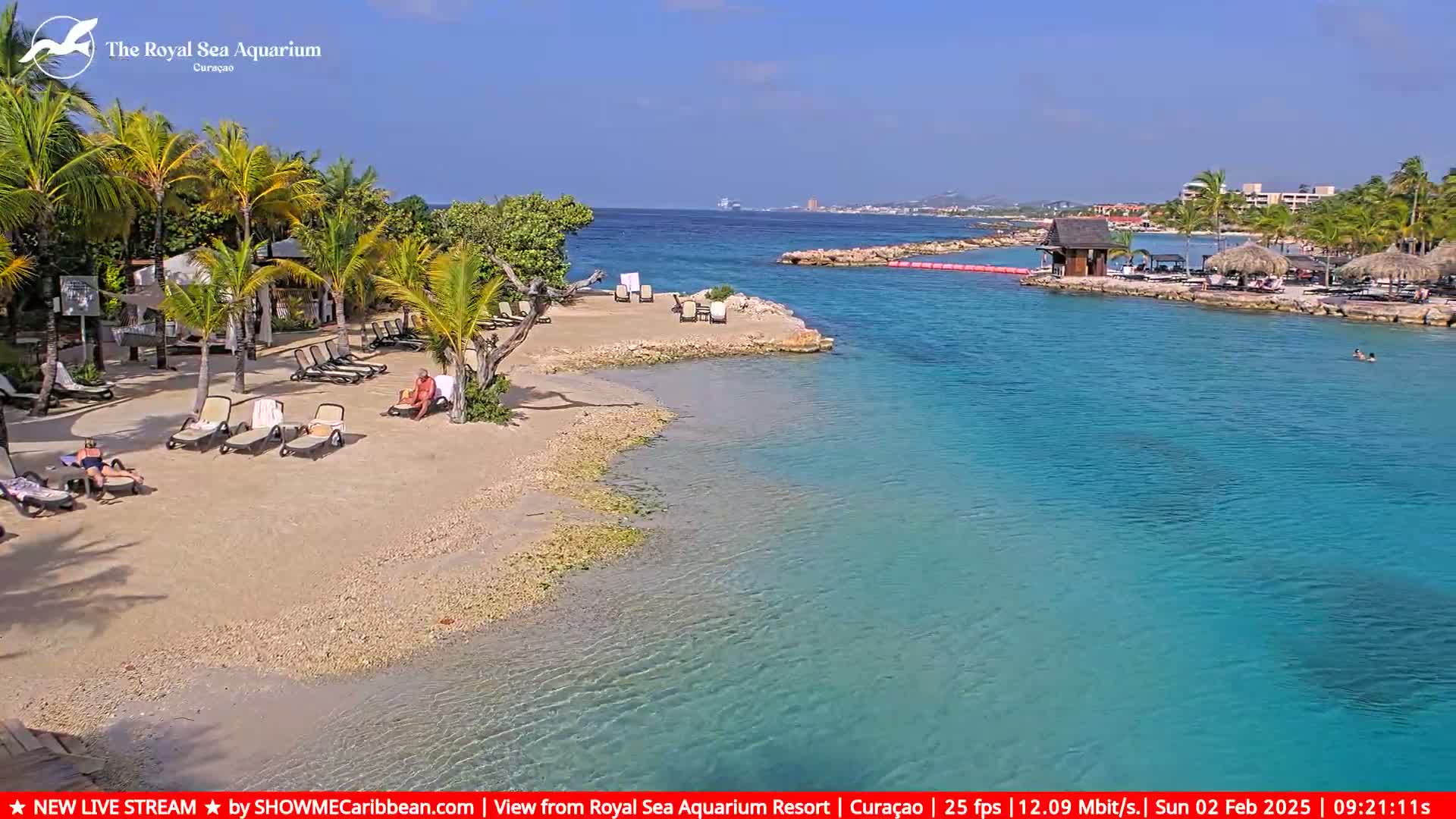 A sandy beach with lounge chairs and a few people on it slopes down to a calm, turquoise body of water under a clear blue sky.