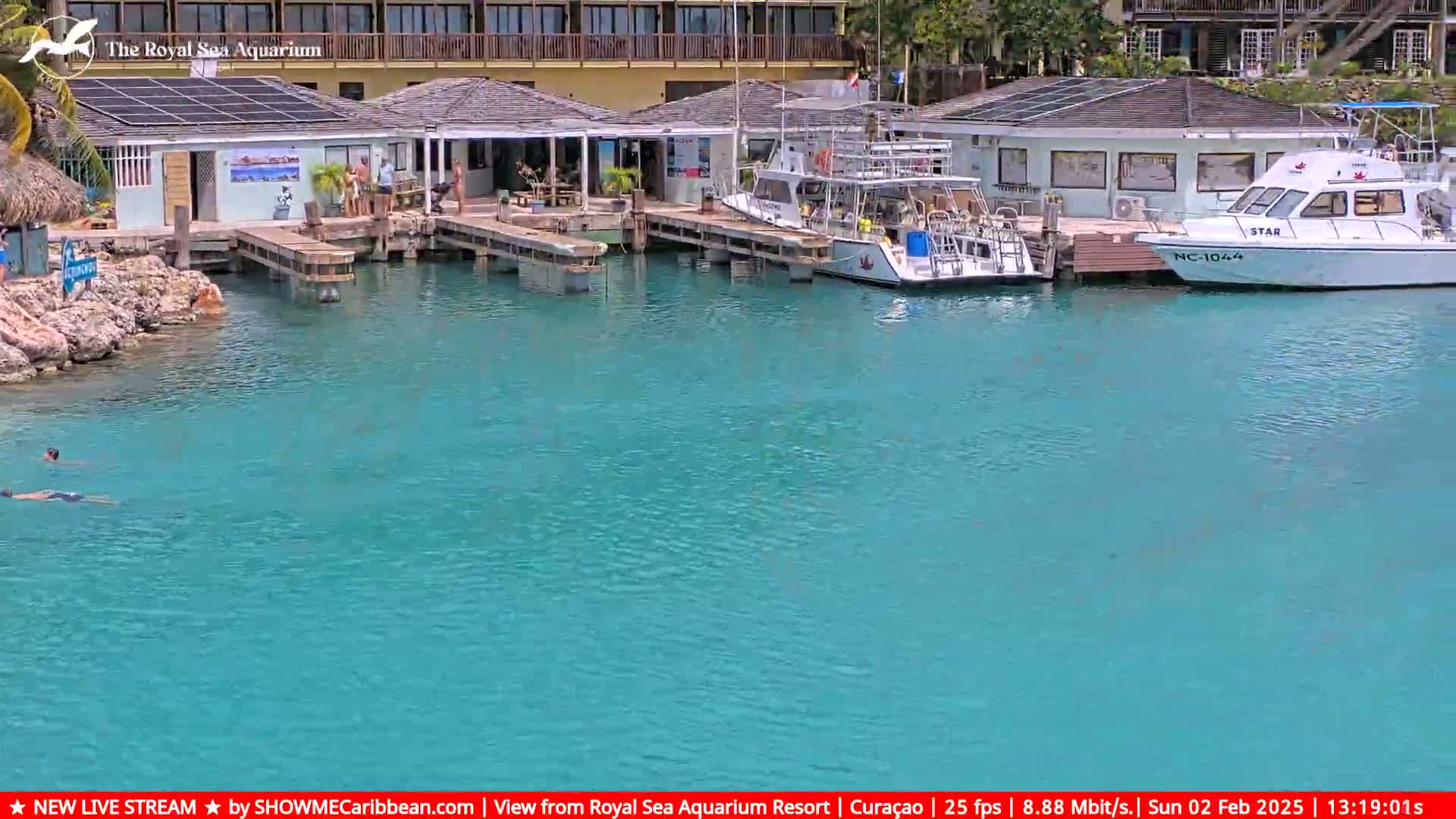 Two people swim in a calm, turquoise body of water near a marina with several buildings and boats docked.
