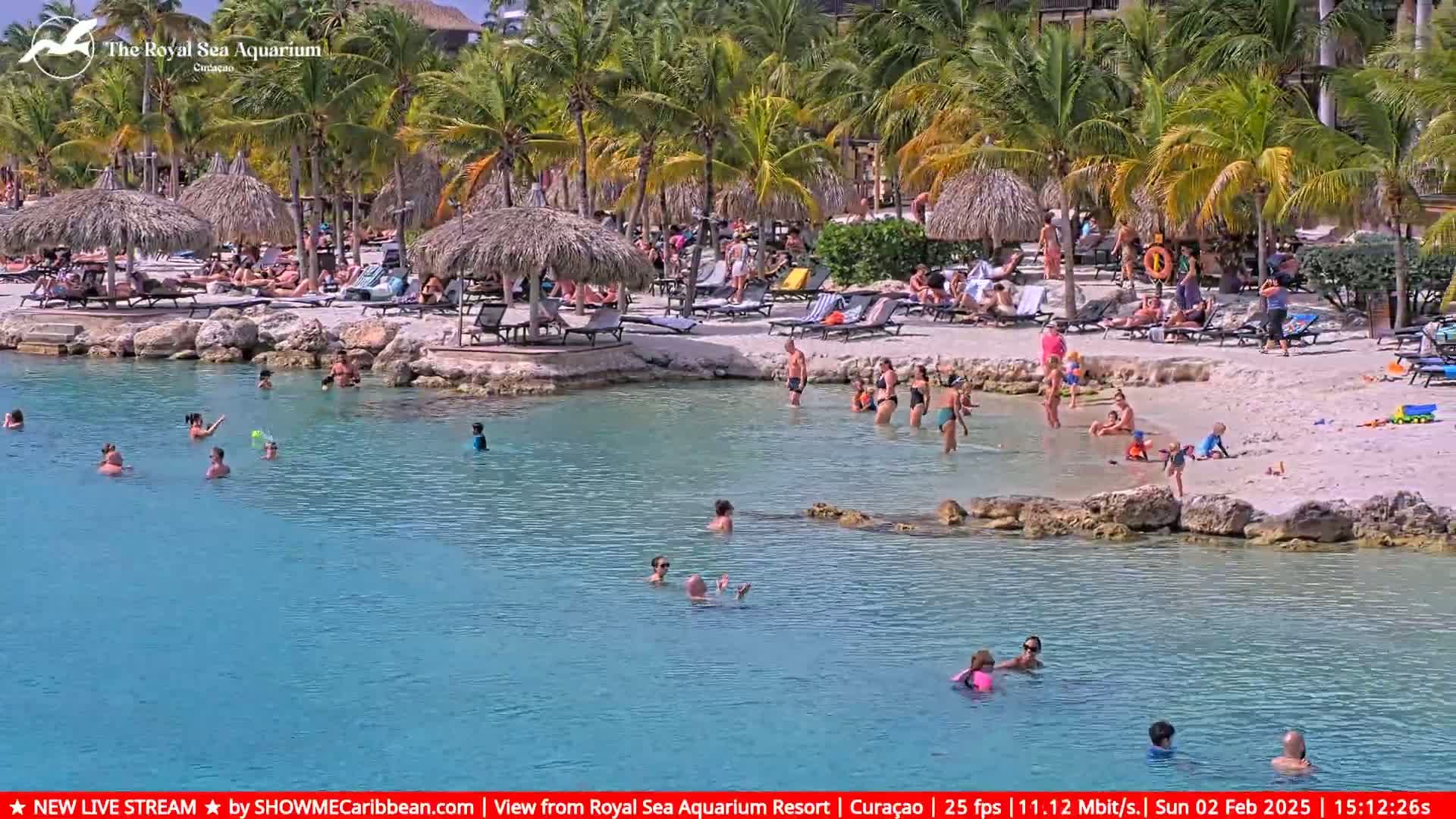A sunny day at a beach with clear turquoise water, palm trees, thatch-roofed cabanas, and many people swimming and relaxing on the sand.