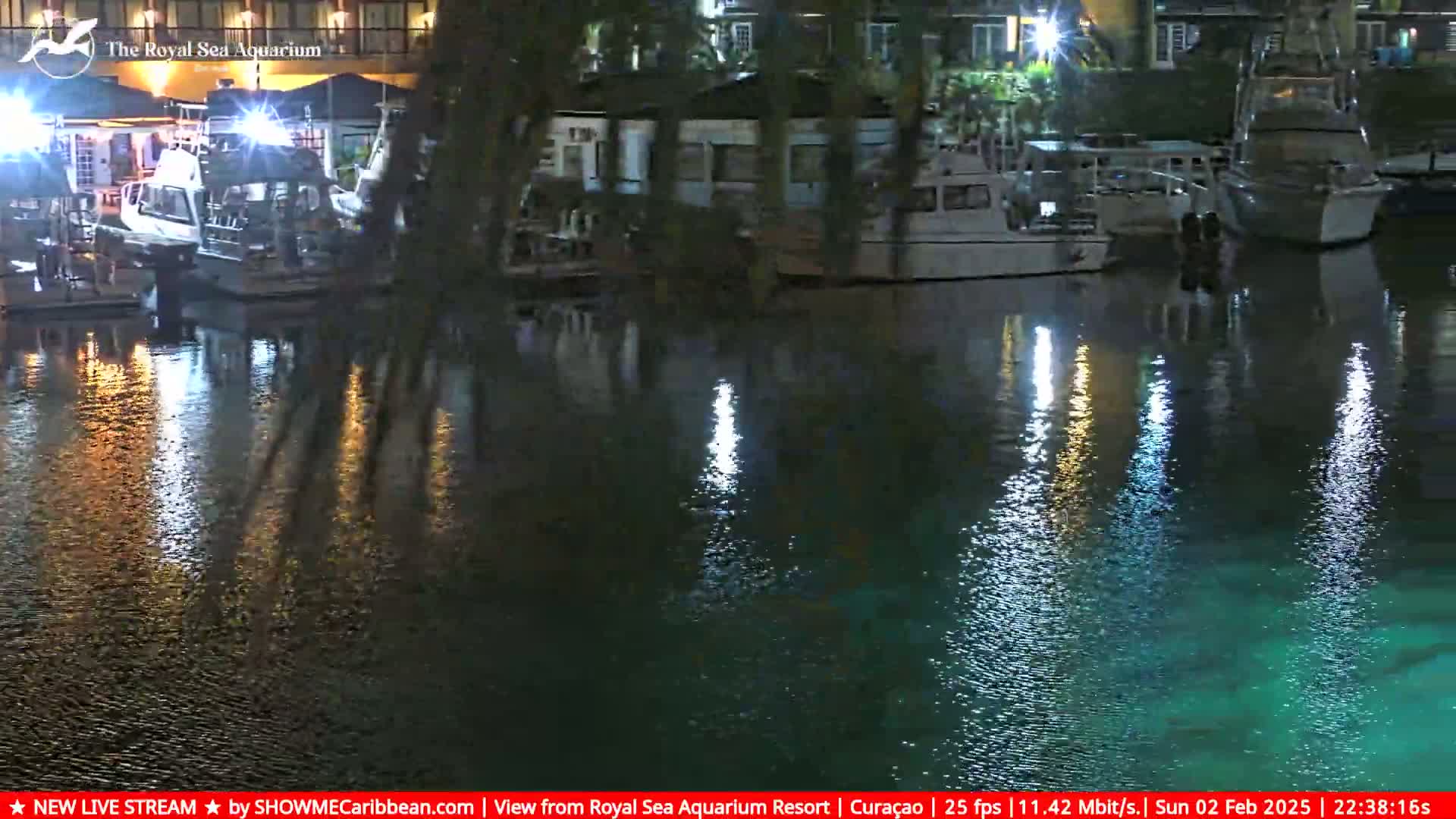 Several boats are docked at a marina at night, their lights reflecting on the calm water.