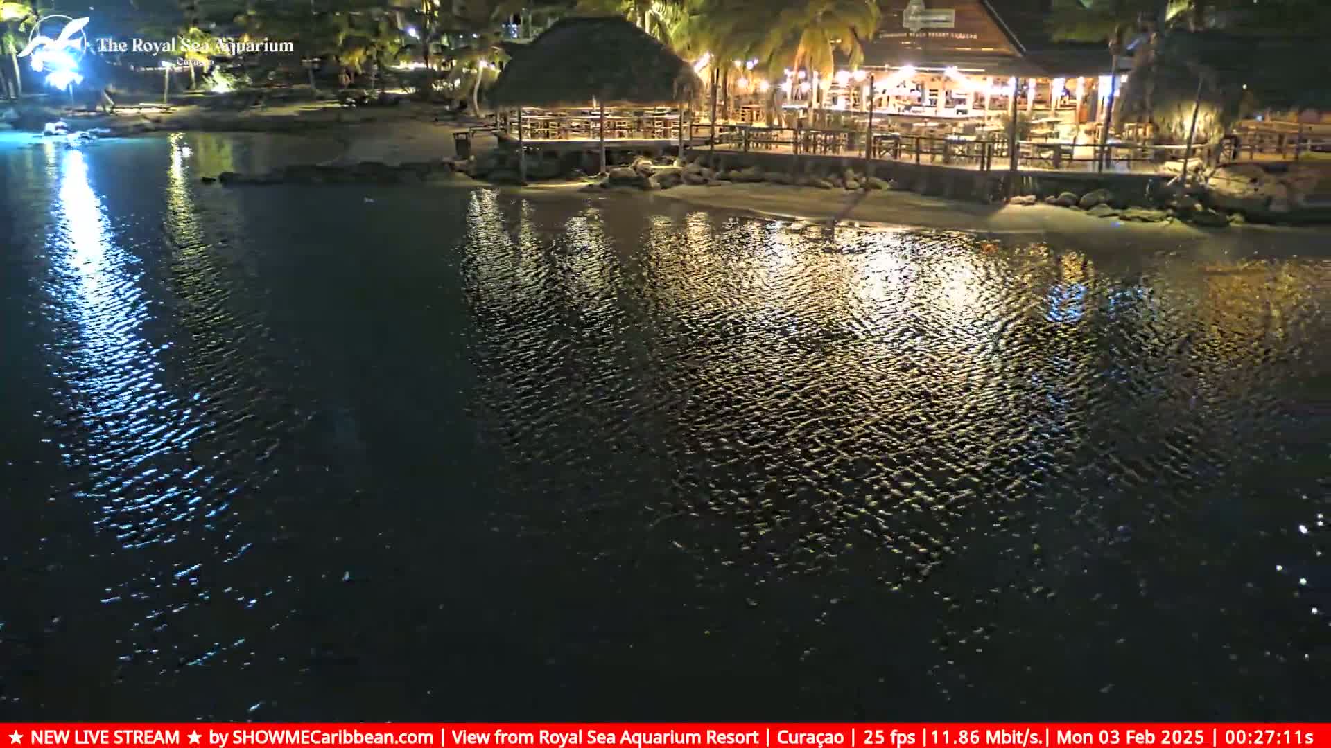 A nighttime view of a calm body of water reflecting lights from a beachfront restaurant under a clear sky.