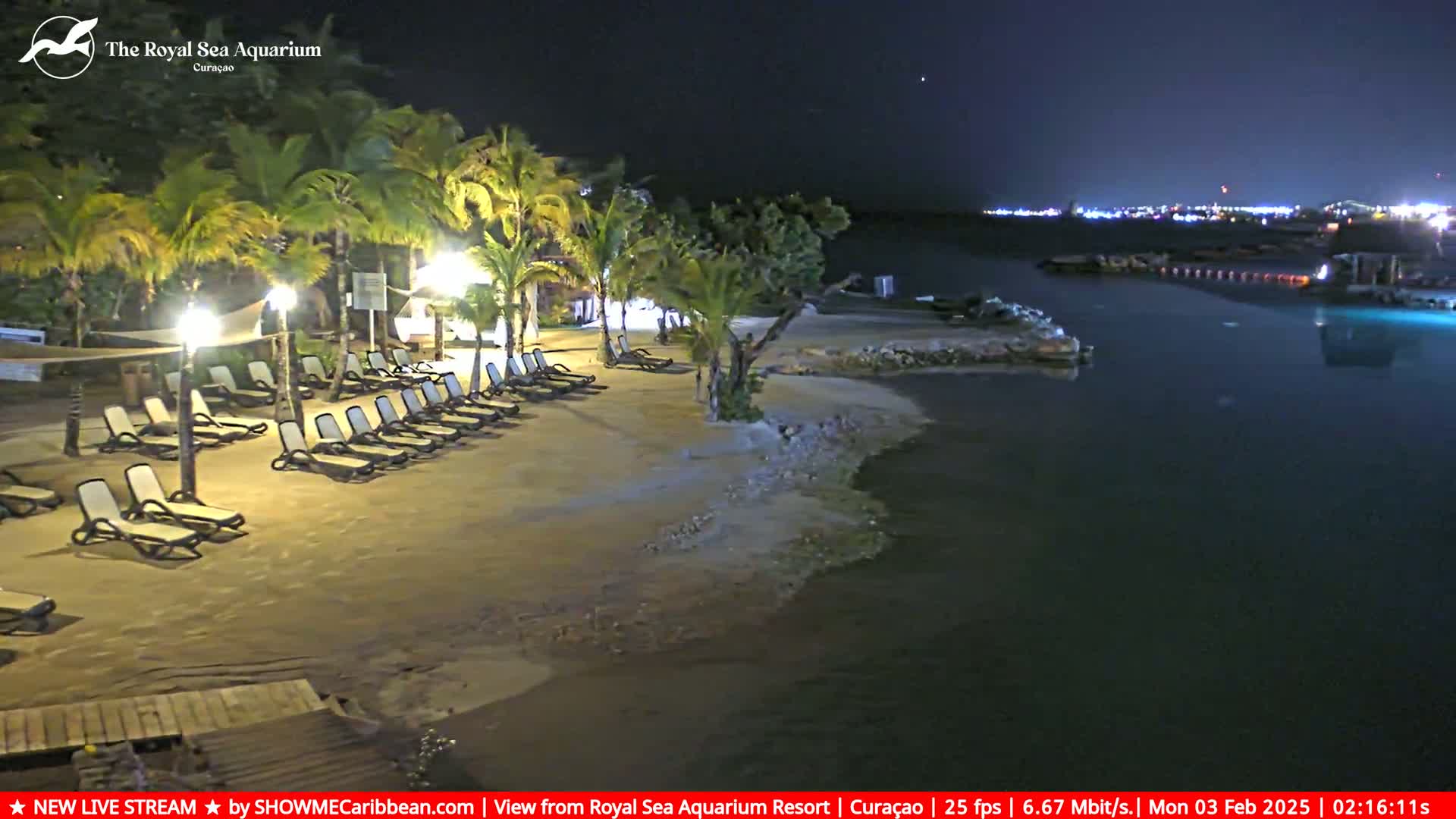 A sandy beach at night, lined with empty lounge chairs under palm trees, is adjacent to a calm body of water with lights visible in the distance.