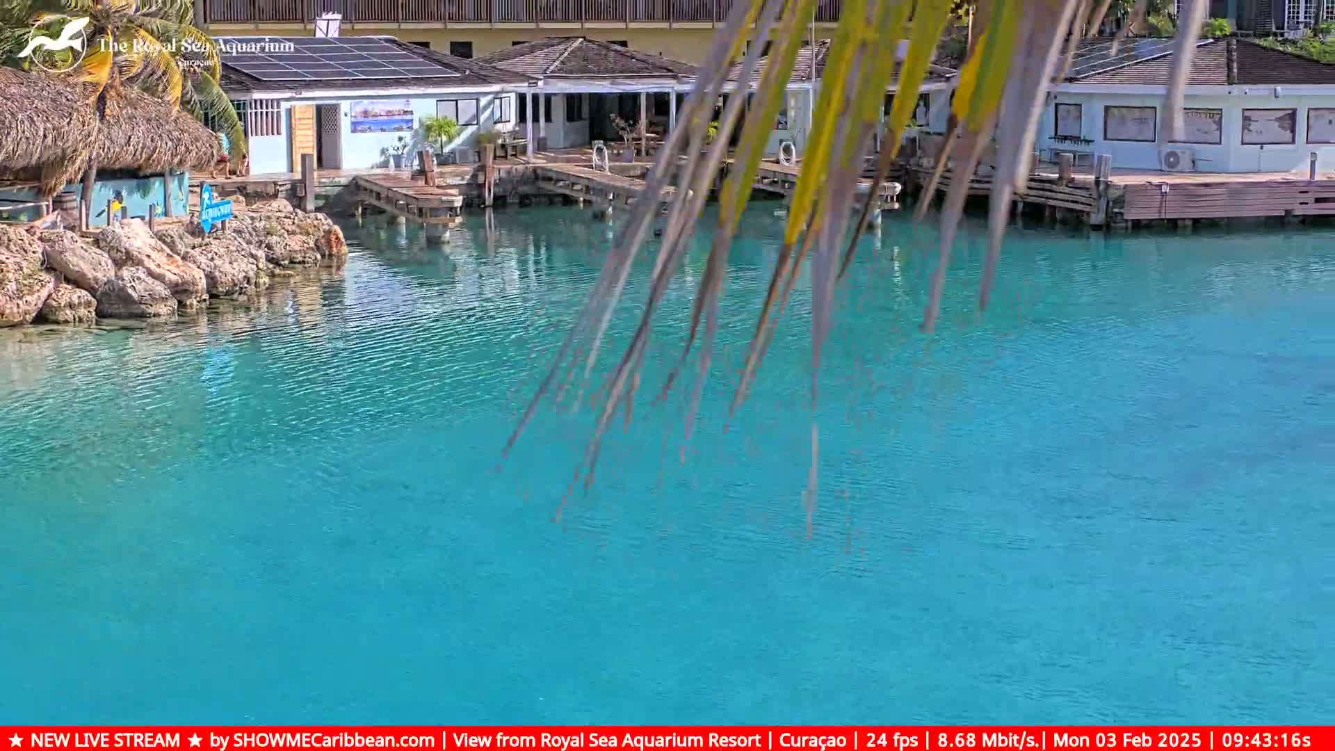 Bright turquoise water laps gently against a rocky shore near several low-lying buildings with thatched roofs and docks.