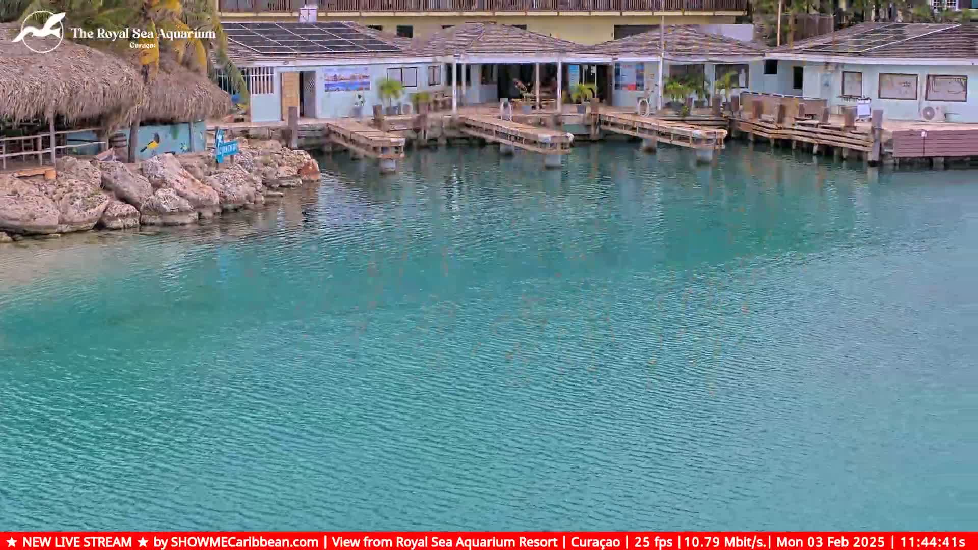 Calm, teal water laps against a shoreline with several small buildings and docks.