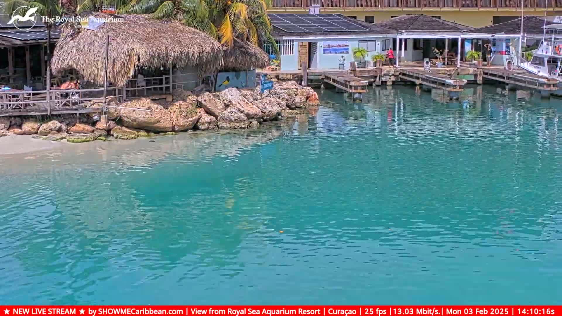 Willemstad, The Royal Sea Aquarium Resort Beach Live Cam - Willemstad, Curacao, Netherland 