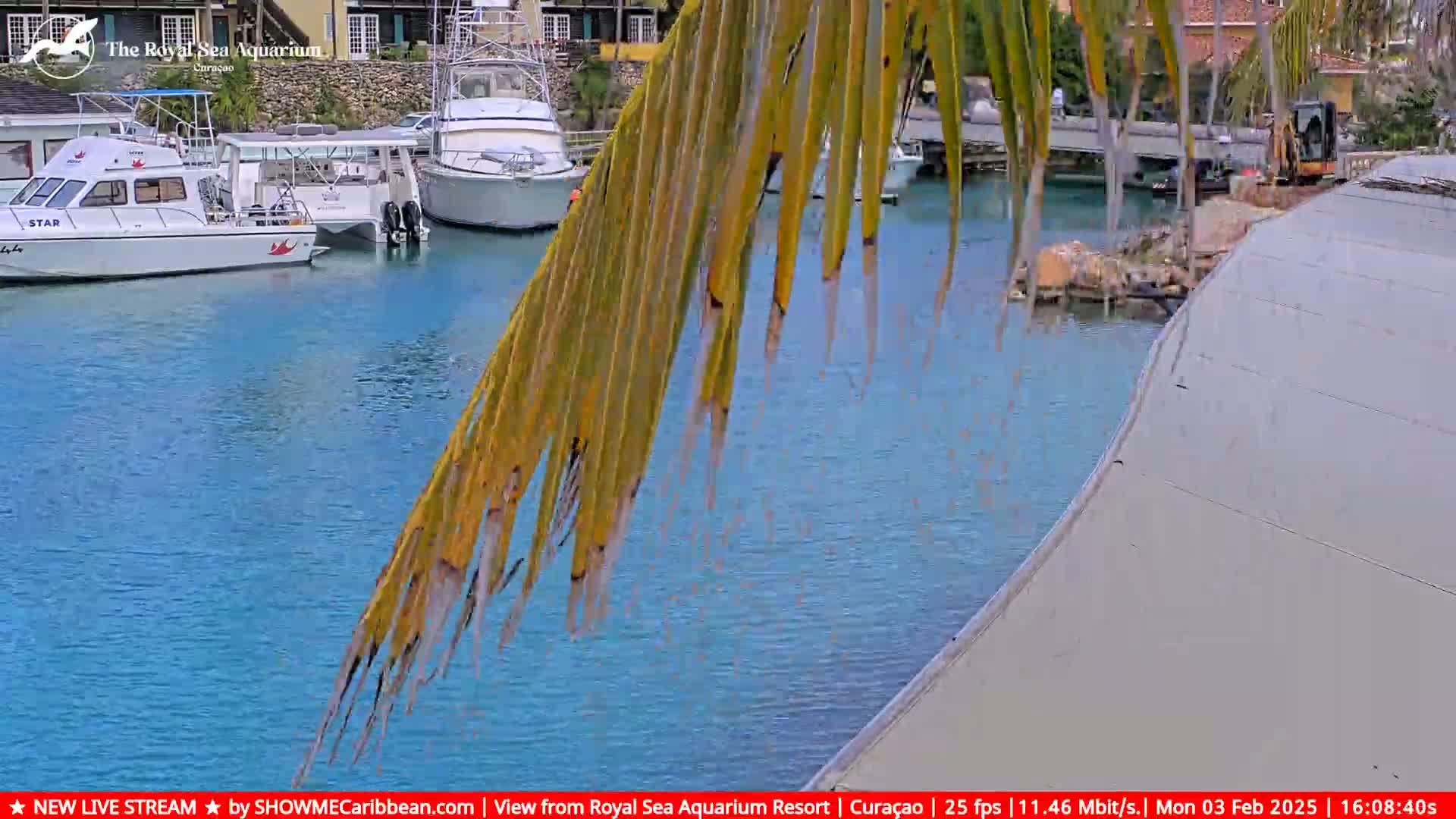 A calm, blue body of water with several boats docked, partially obscured by a palm frond, on a sunny day.