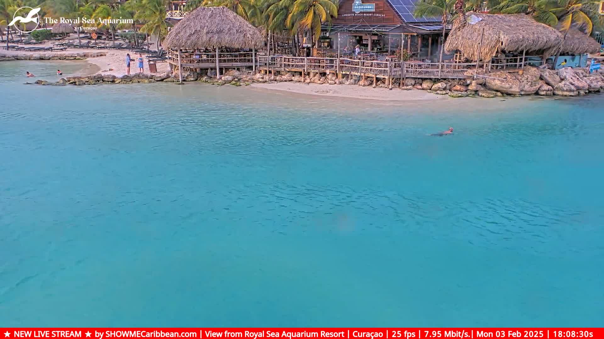 A person swims in clear, turquoise water near a beach with thatched-roof structures and a restaurant.