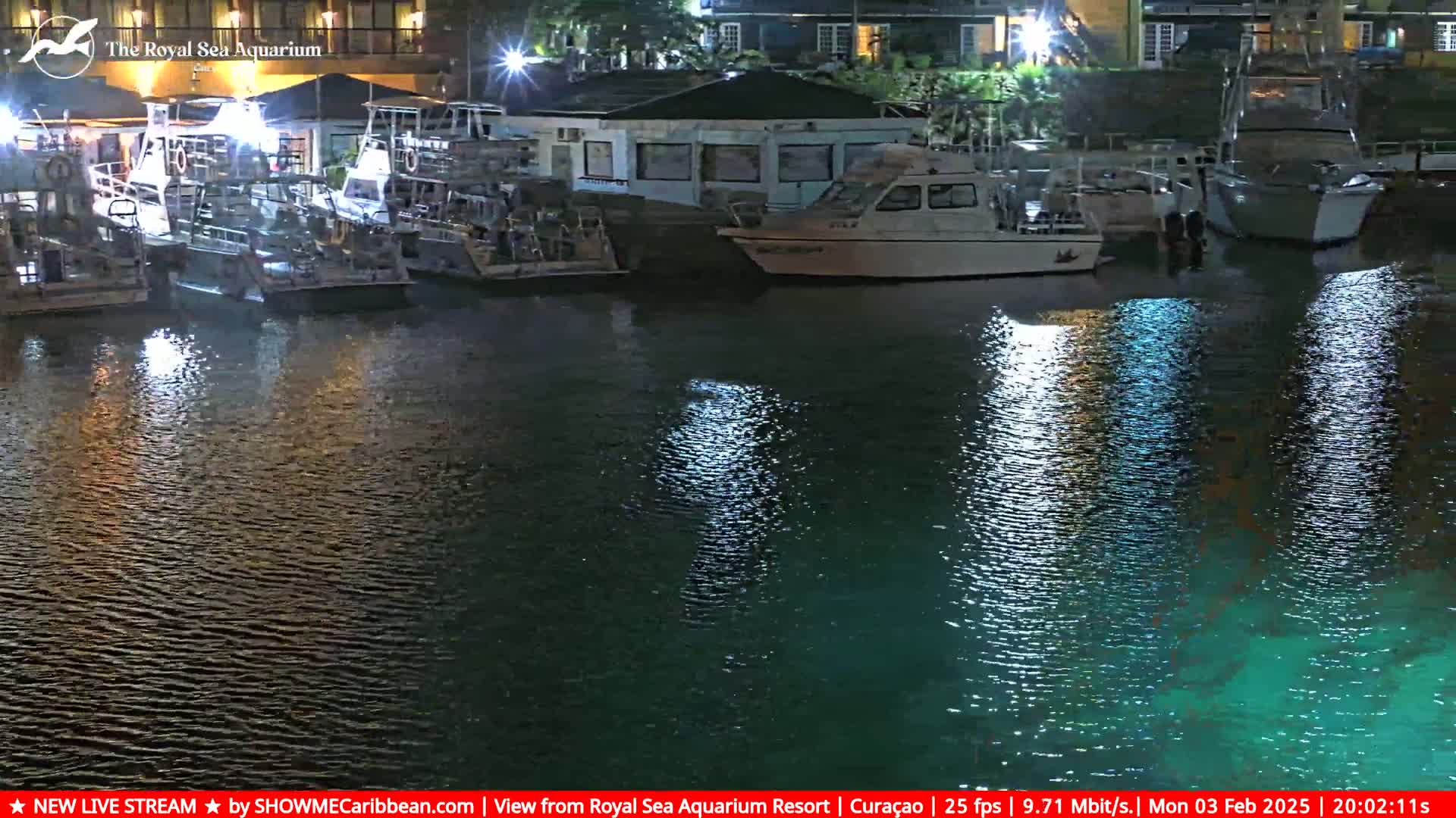 Several boats are moored at a dock at night, their reflections shimmering on the calm water.