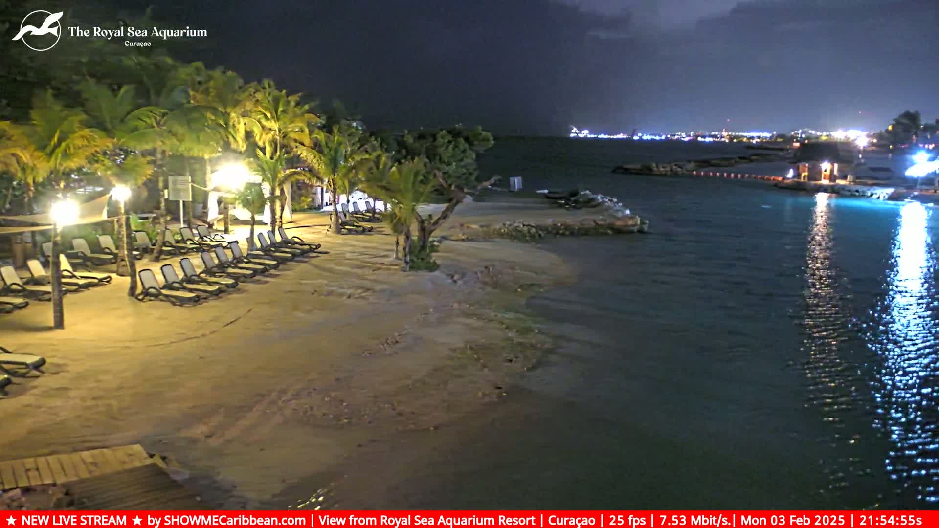 A nighttime beach scene shows a sandy shore with lounge chairs under palm trees, illuminated by artificial lights, next to a calm body of water under a partly cloudy sky.