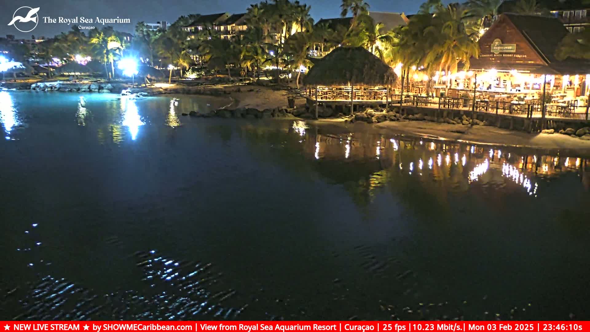A nighttime view of a calm body of water reflecting the lights of a beachfront restaurant and resort under a clear sky.