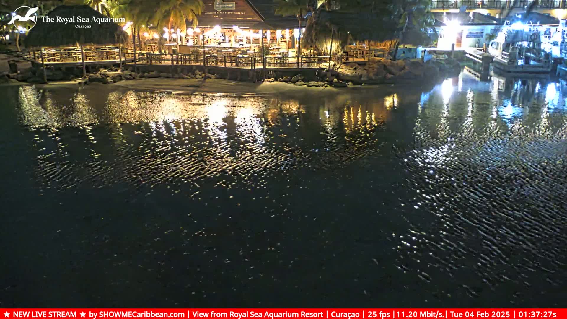 A nighttime view of a waterfront restaurant and calm water reflecting lights, with boats moored nearby.