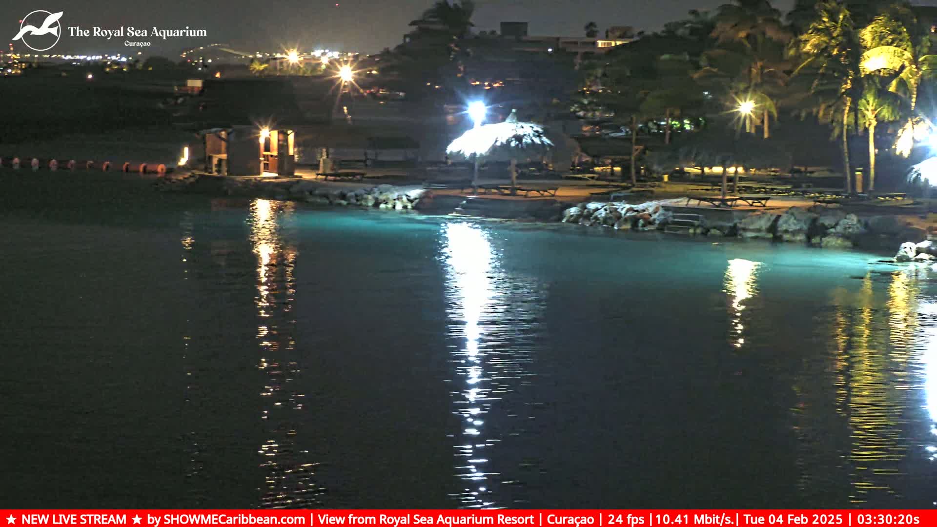 A nighttime view of a calm, illuminated body of water next to a shoreline with palm trees, a small building, and a thatched-roof umbrella.