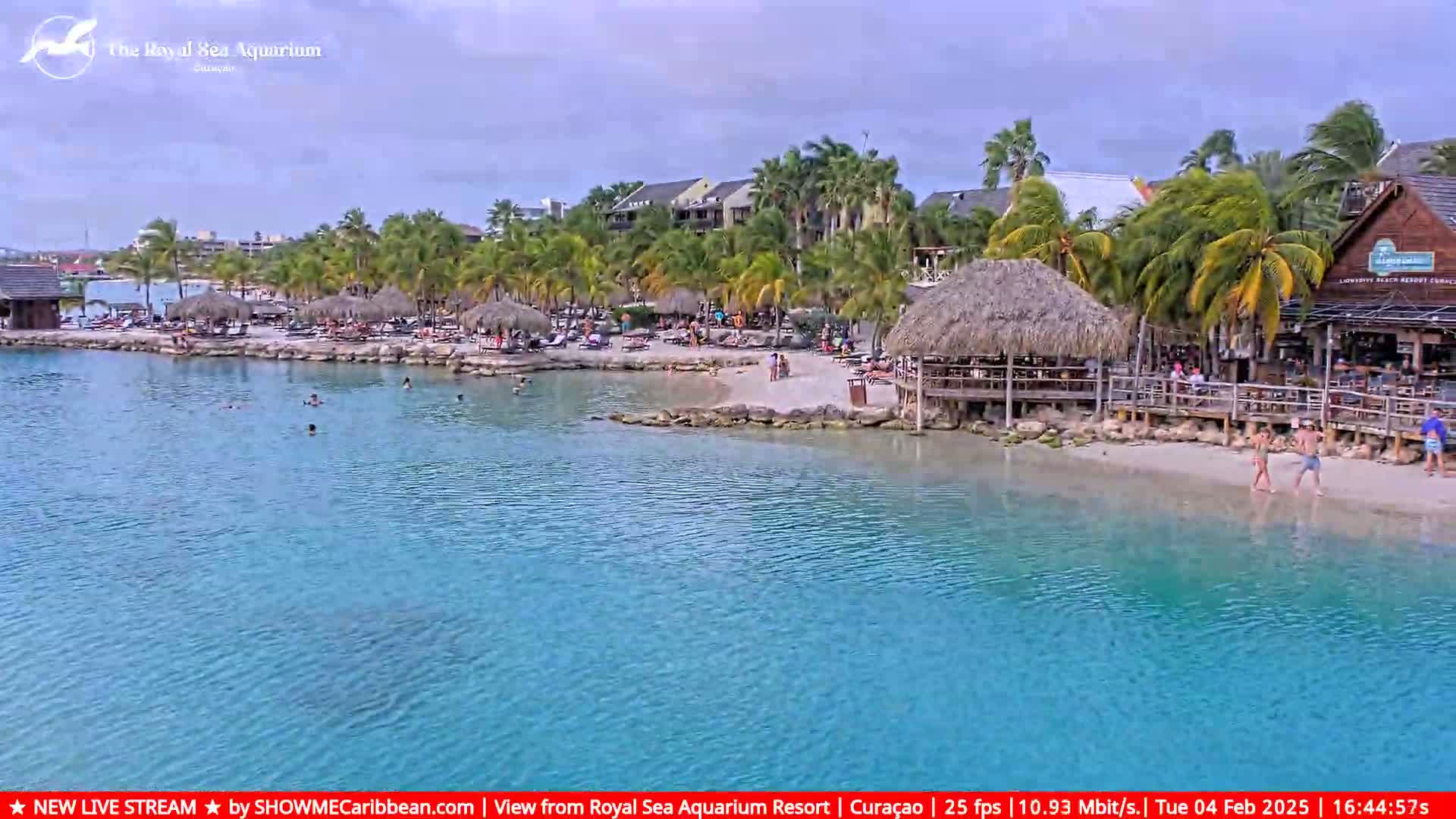 A tranquil beach scene with turquoise water, palm trees, beach umbrellas, and several people enjoying the calm weather.