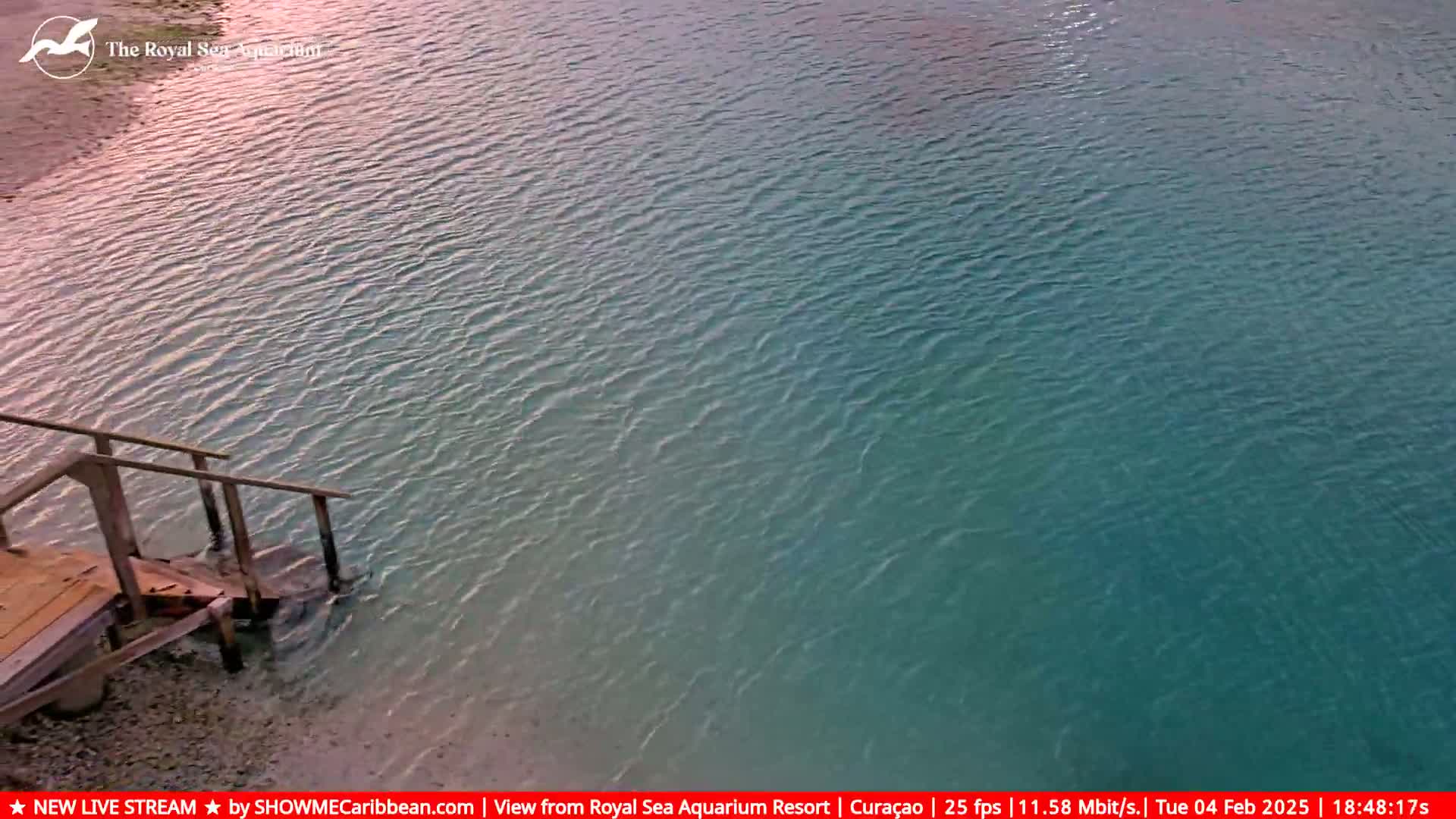 Willemstad, The Royal Sea Aquarium Resort Beach Live Cam - Willemstad, Curacao, Netherland 
